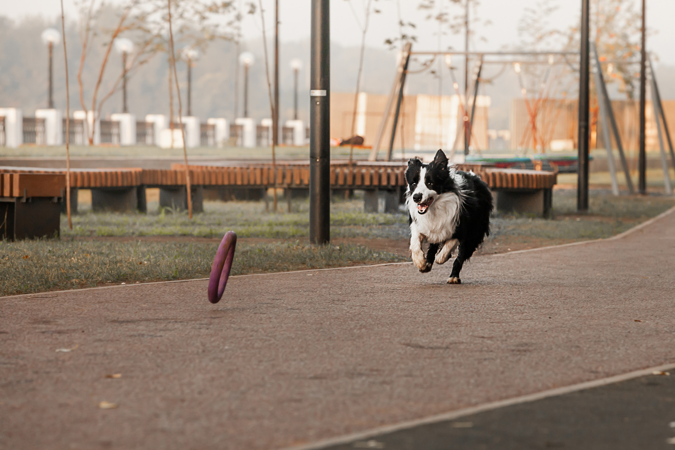 Сочный рассвет, на который решились. О нас