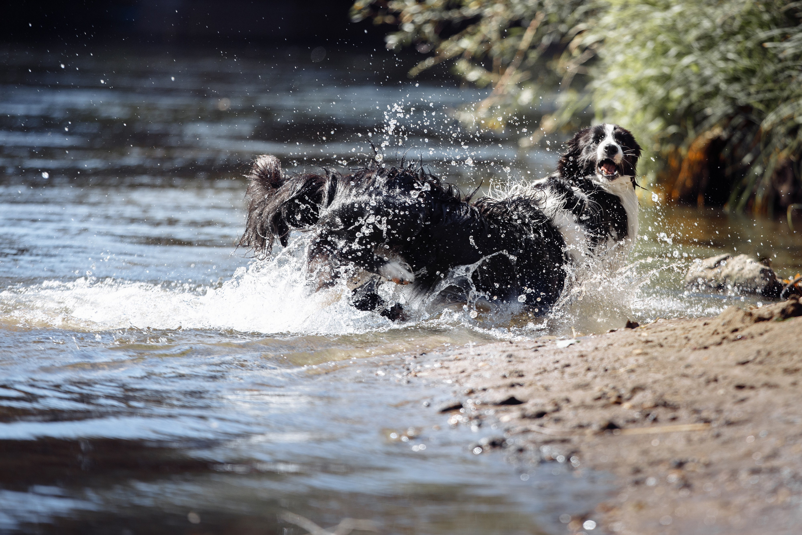 Водяные в Новотроицке. О нас