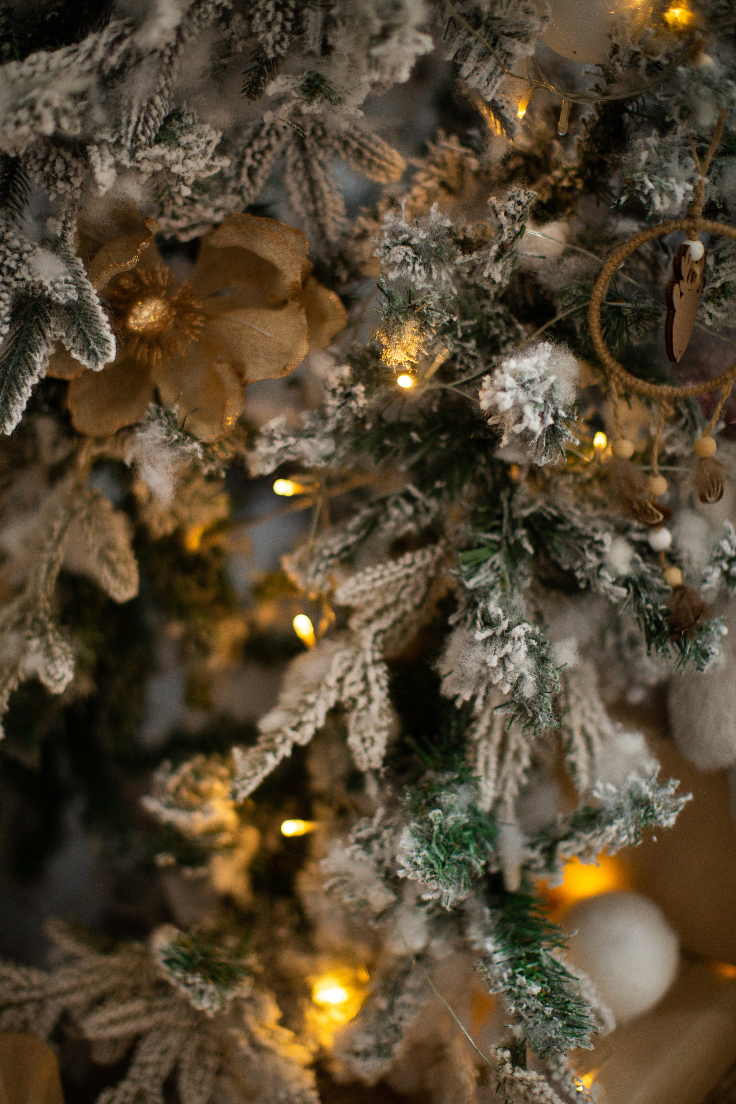 Нг24. Фотограф НатаФото (Наталья Яковенко) Дмитров Москва Питер