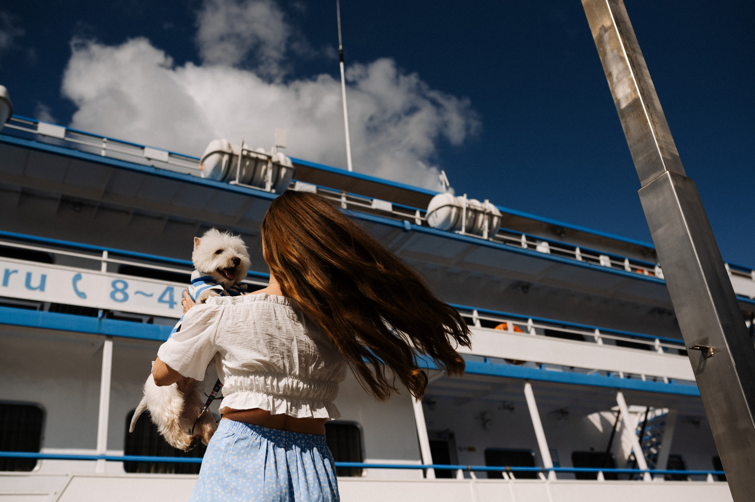 Даша и Вайт. Фотограф анималист в Москве Ольга Агушева