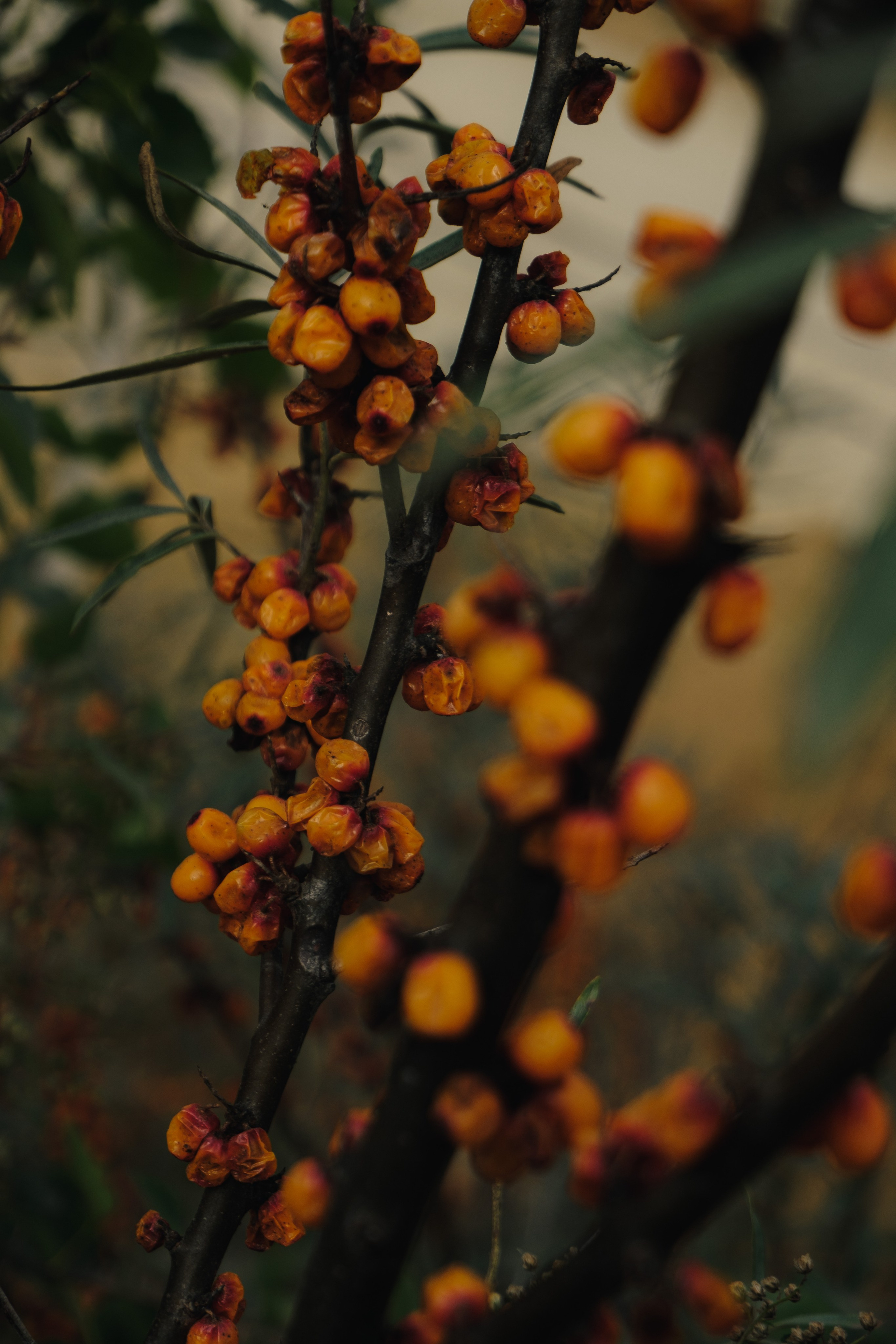 Верхблаговещенск. Фотограф Благовещенска Яна