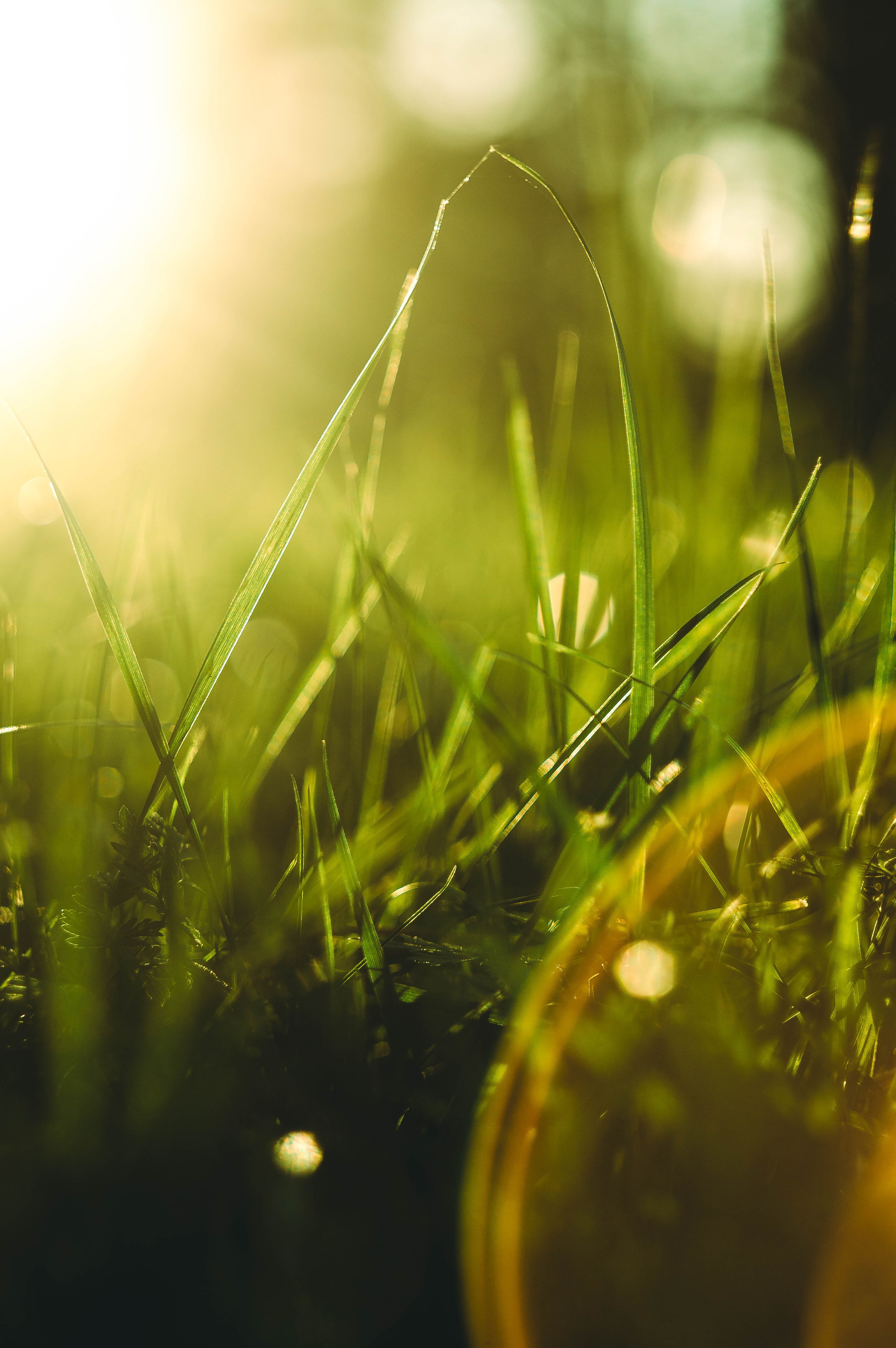 Без людей. Фотограф Крутой Максим