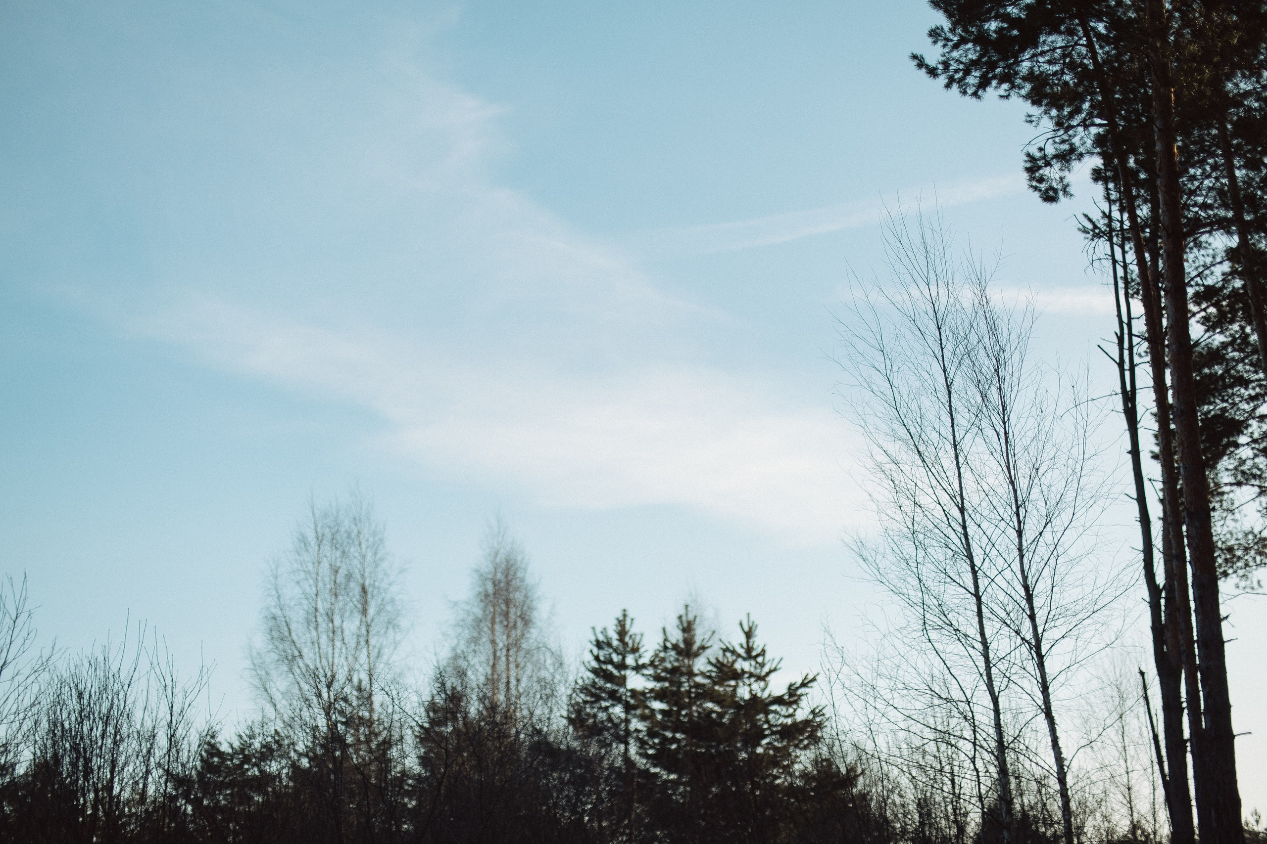 Экопарк ПОЛЯНЫ. Главная