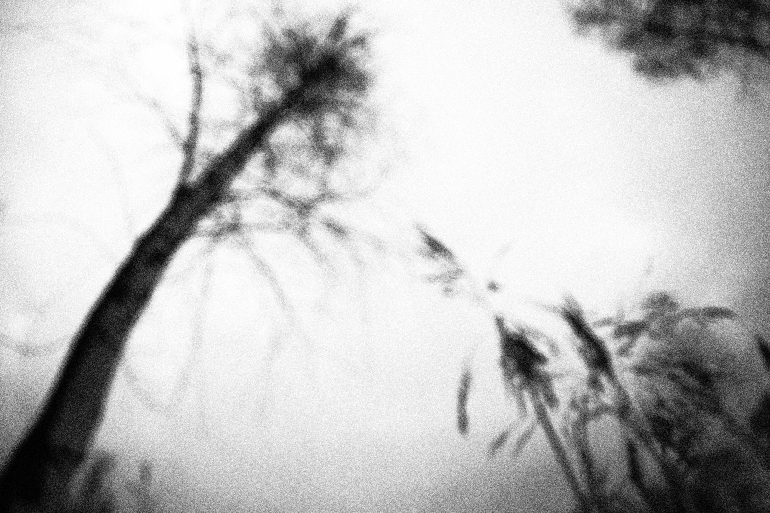 Внутривенные сны (2023)