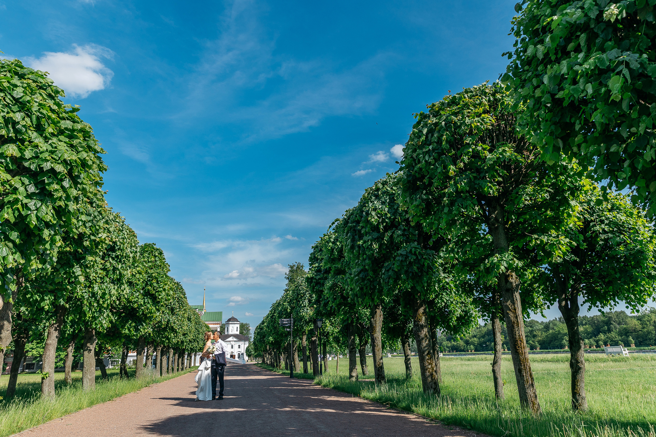 Олеся и Сергей. Свадебный и семейный фотограф Раменское Жуковский  Александр Зимин