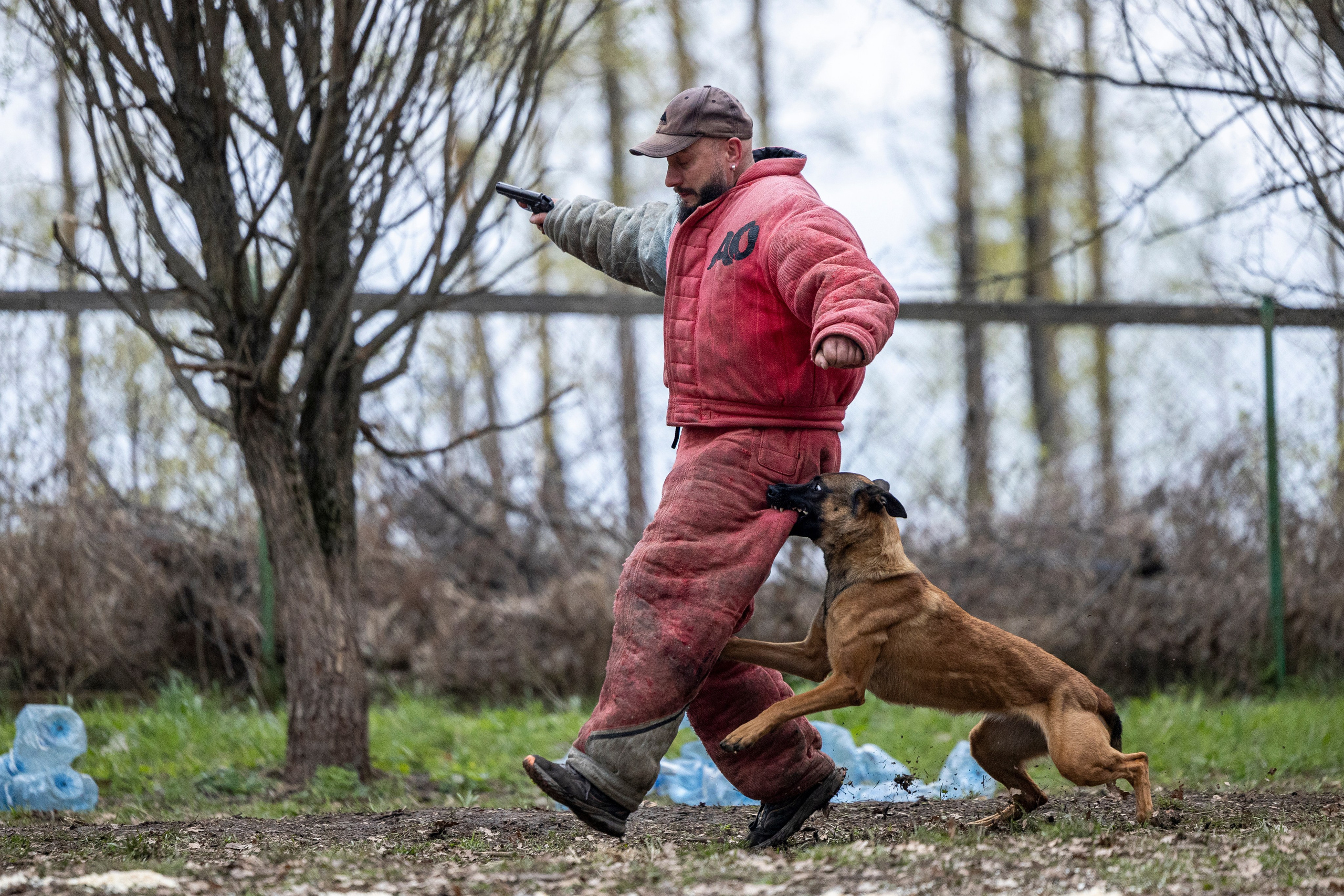 Квалификационные состязания по мондьорингу г. Вологда 11.05.24. Фотограф-анималист Анна Маринич