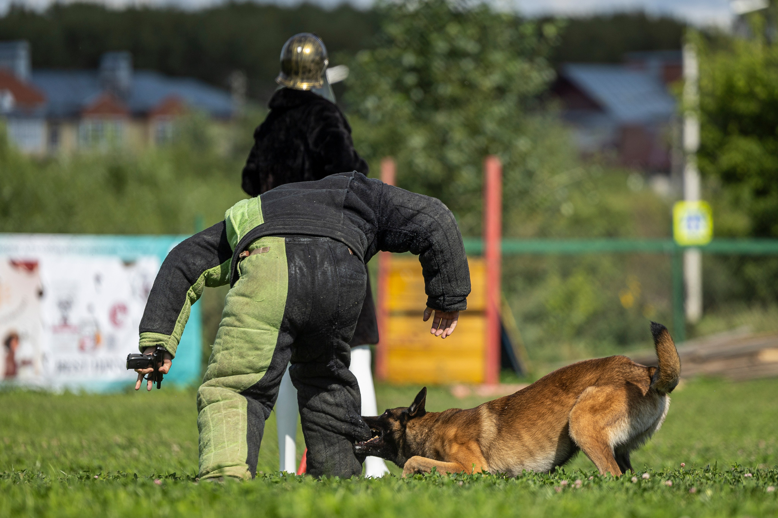 Соревнования по Мондьорингу г. Вологда 10-11.08.2024. Фотограф-анималист Анна Маринич
