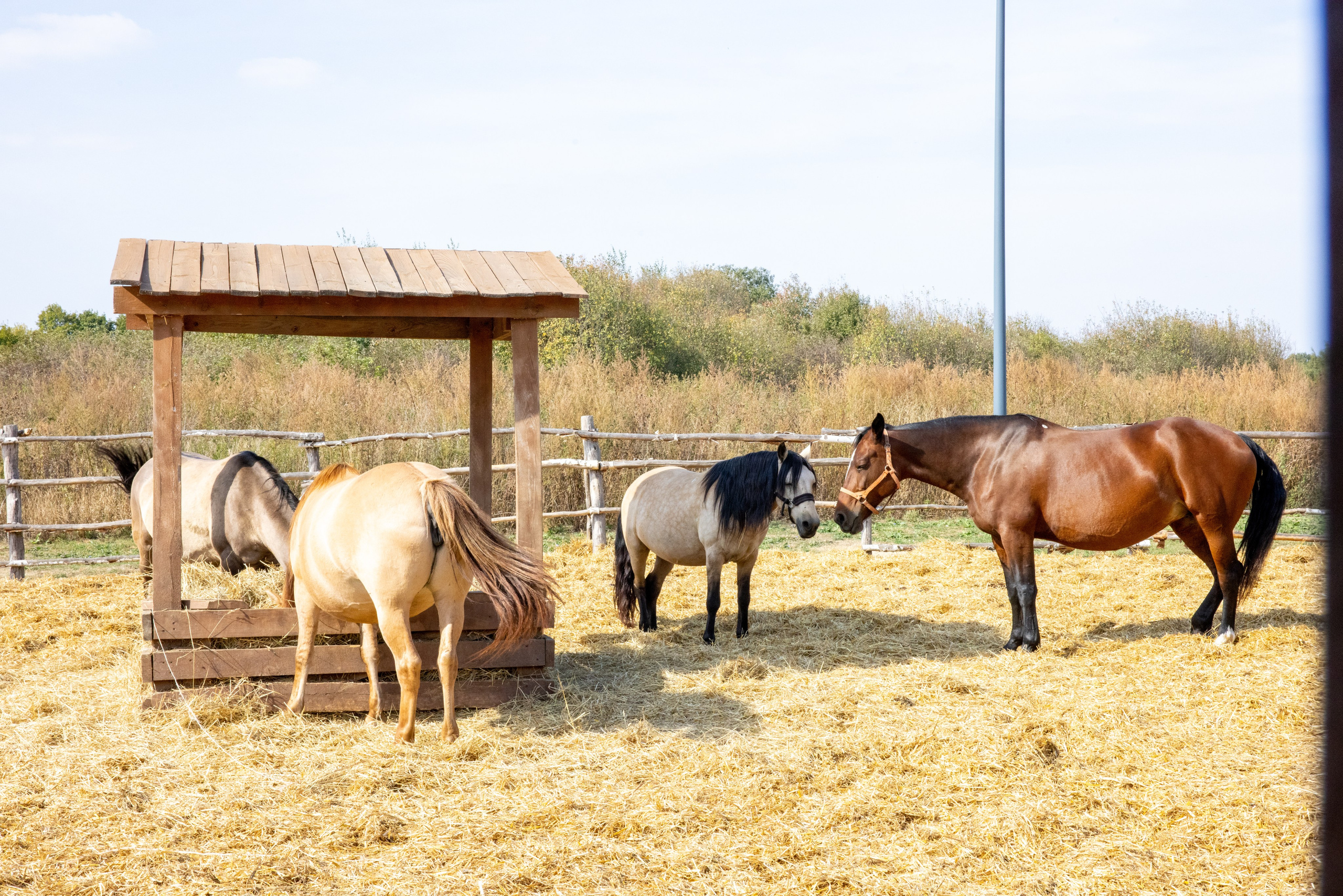 Поездка на поле Кулеково. Фотограф в Туле Крупский АнДРей. Фотостудия «КАДР71» в Туле