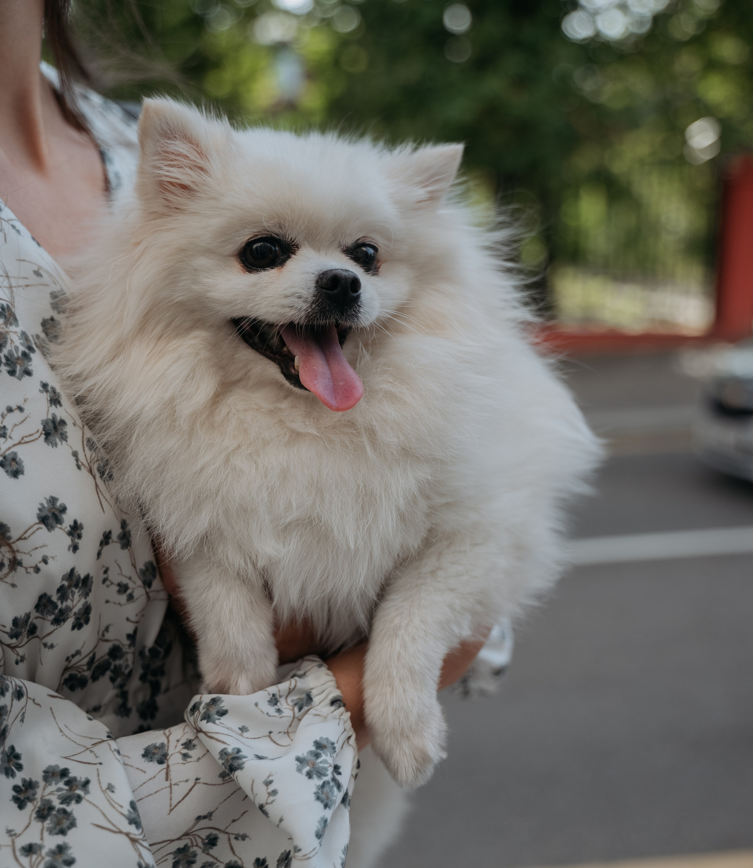 Прогулка к завтраку