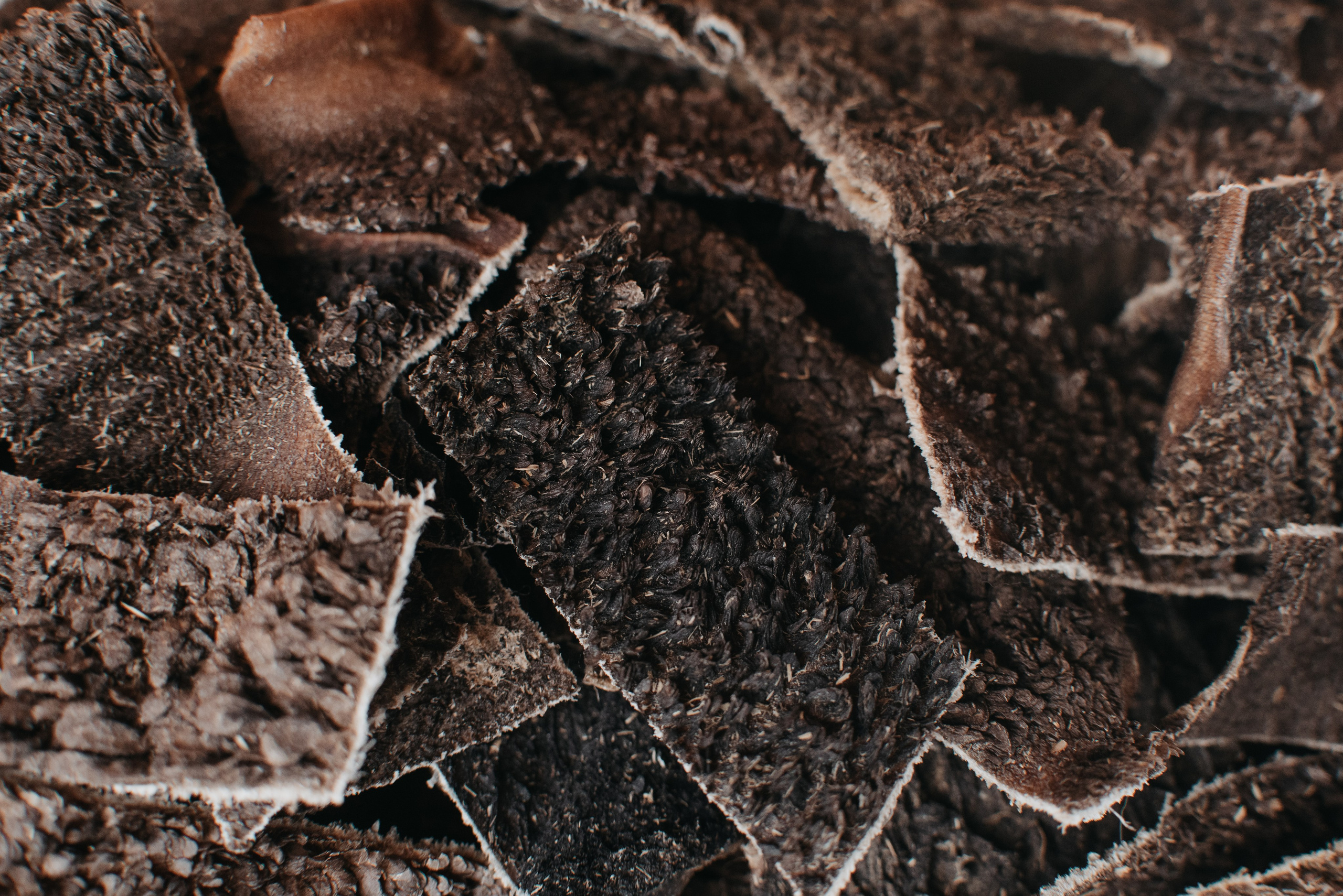 Dog Bone лакомства. Фотограф-анималист Валерия, Москва, Мытищи