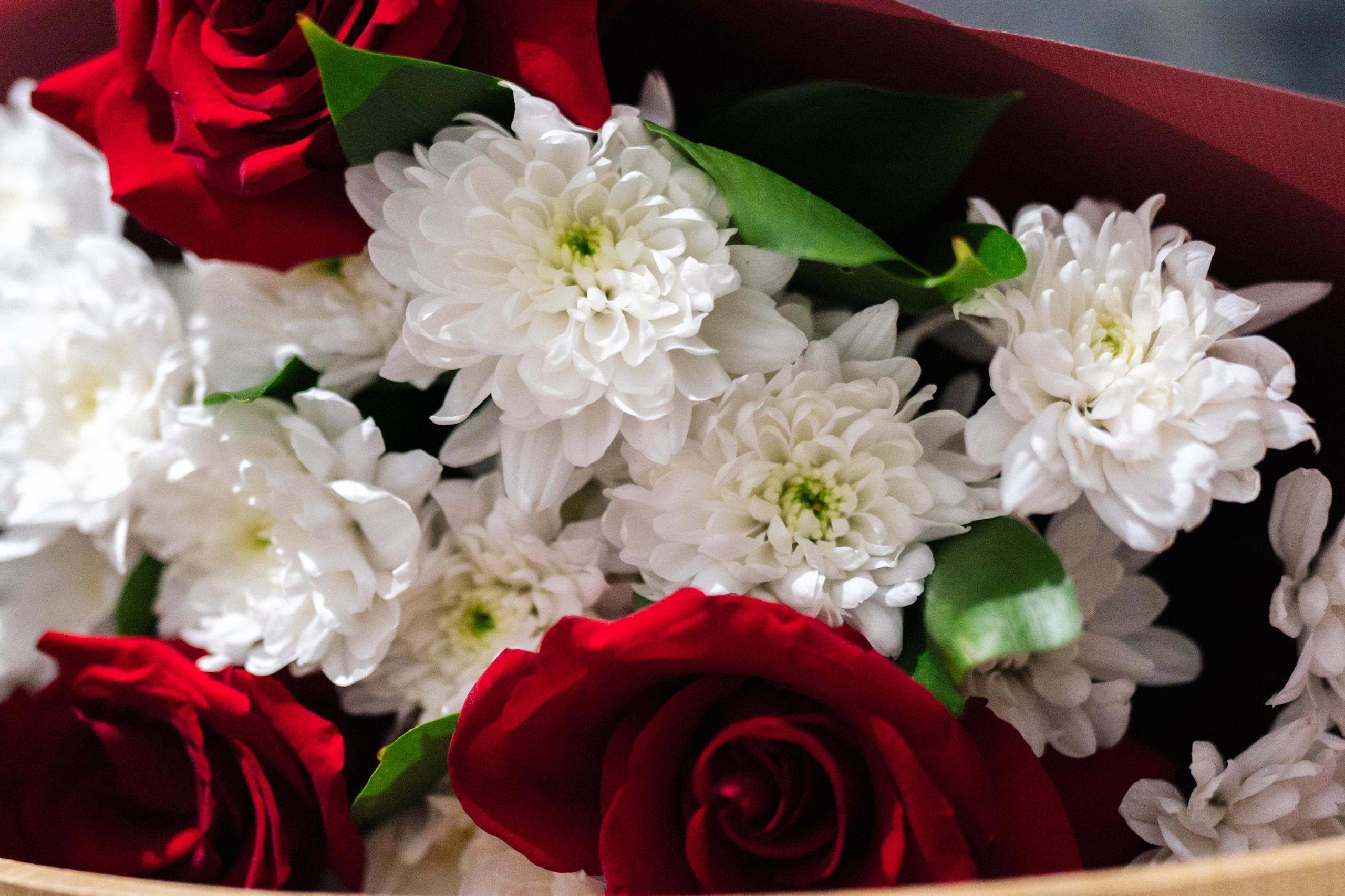 Юбилей 50 лет. Свадебный фотограф в Москве Кристина Чехова