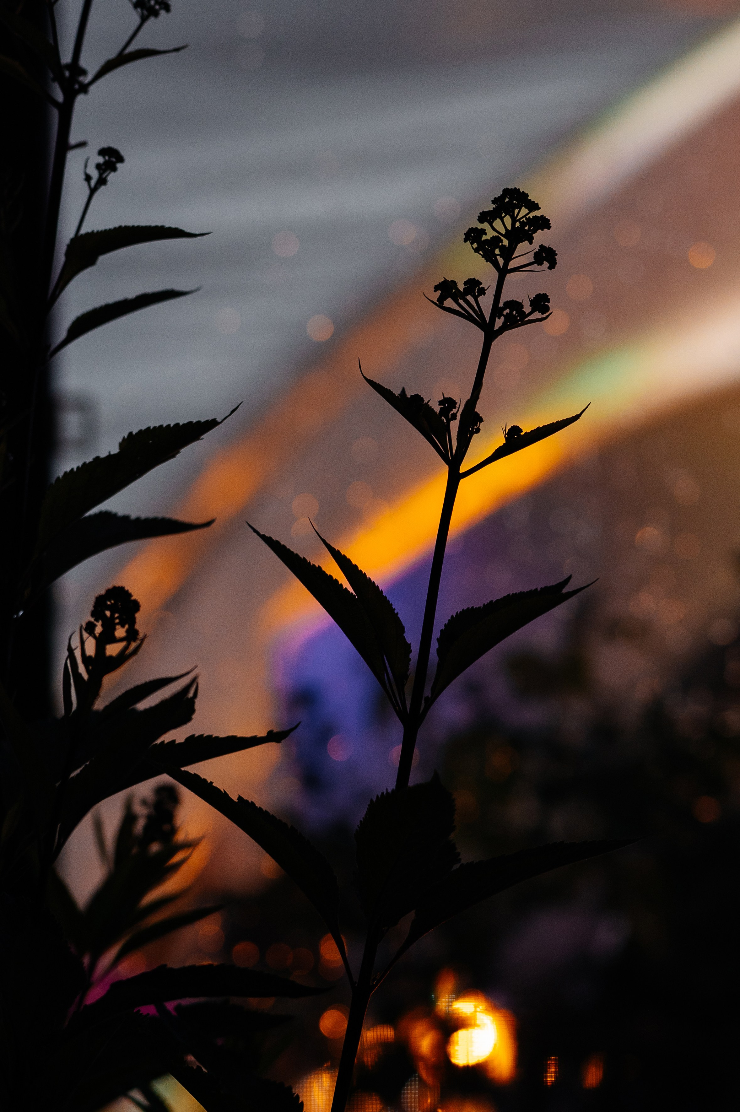 Свадьба Артем и Мария. Свадебный фотограф в Москве и по всему Миру Андрей Медведников