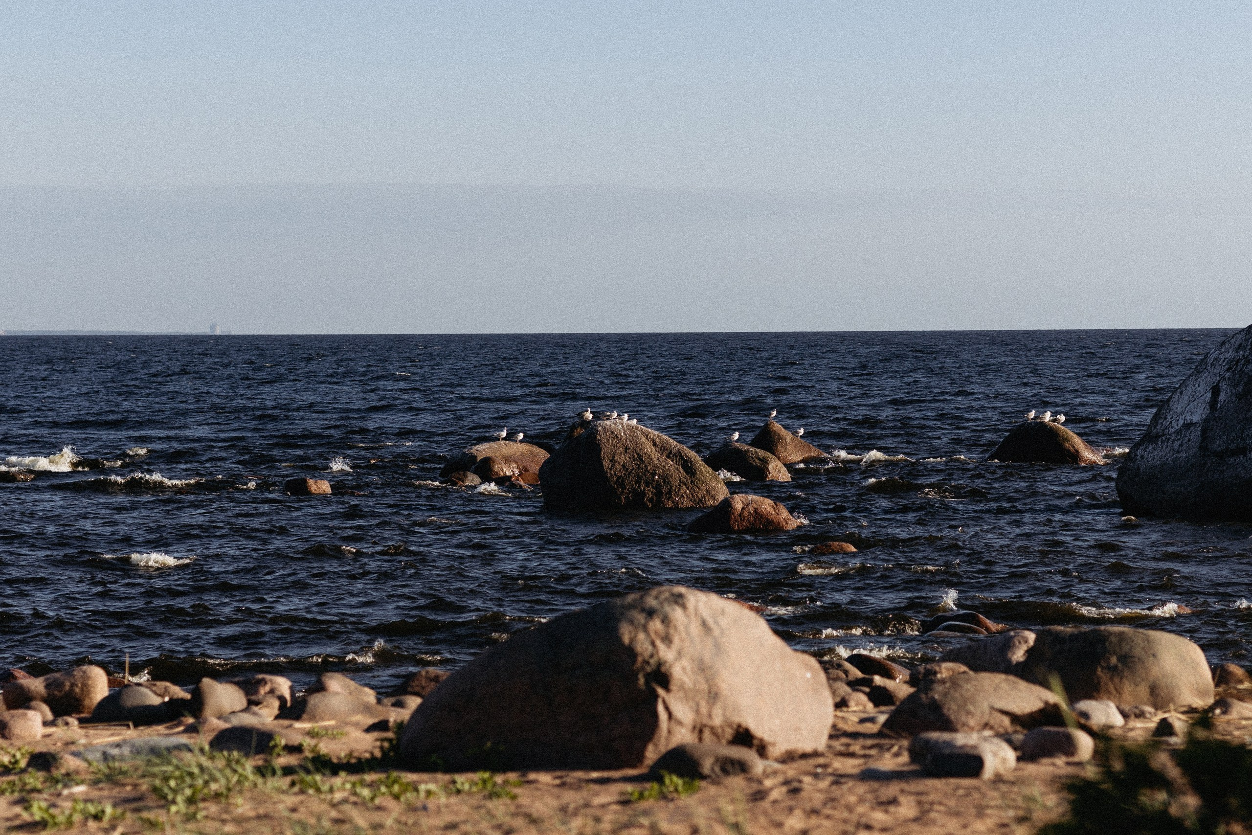 Д🤍Т. Вера Пьянцева фотограф в Санкт-Петербурге | индивидуальная, семейная и парная (love-story) съёмка