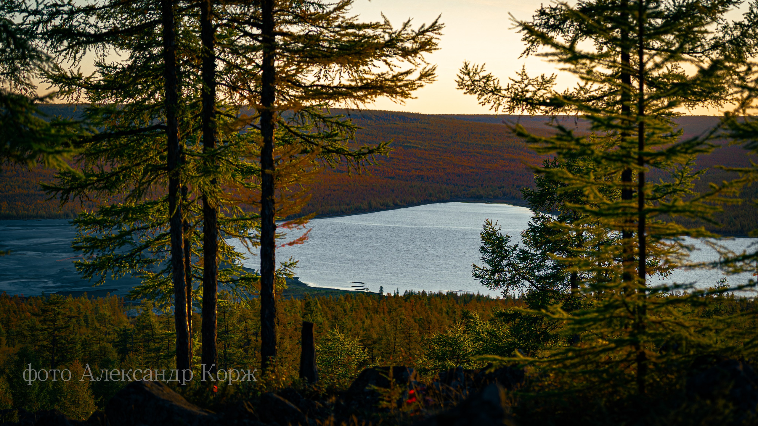 Золотая осень 2025. Айхал. Удачный. Мирный Якутия. Фотографии и видеосъемка, Айхал, Удачный, Якутия. Фотографии Айхал