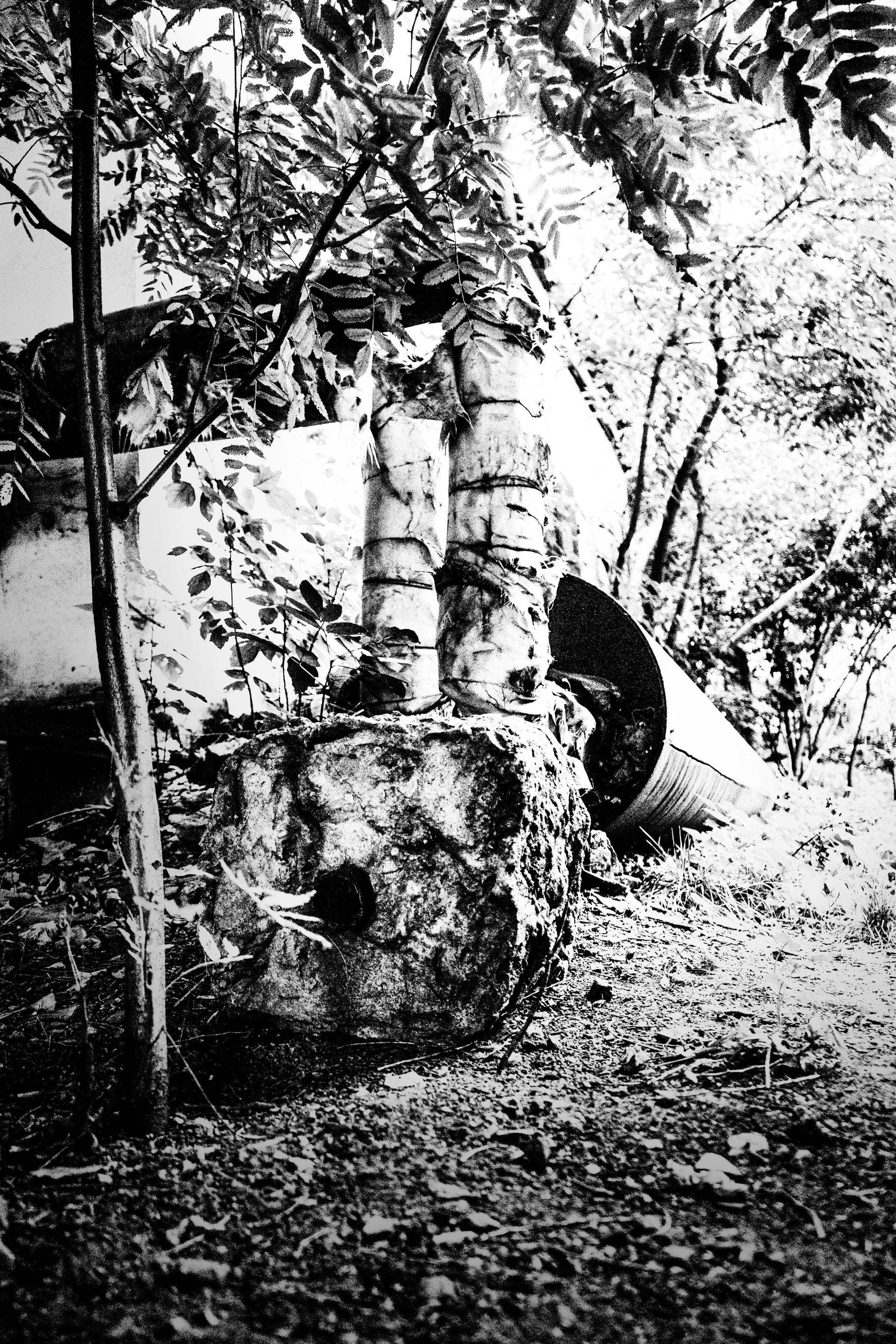 Noir of the Metropolis. Whoii art