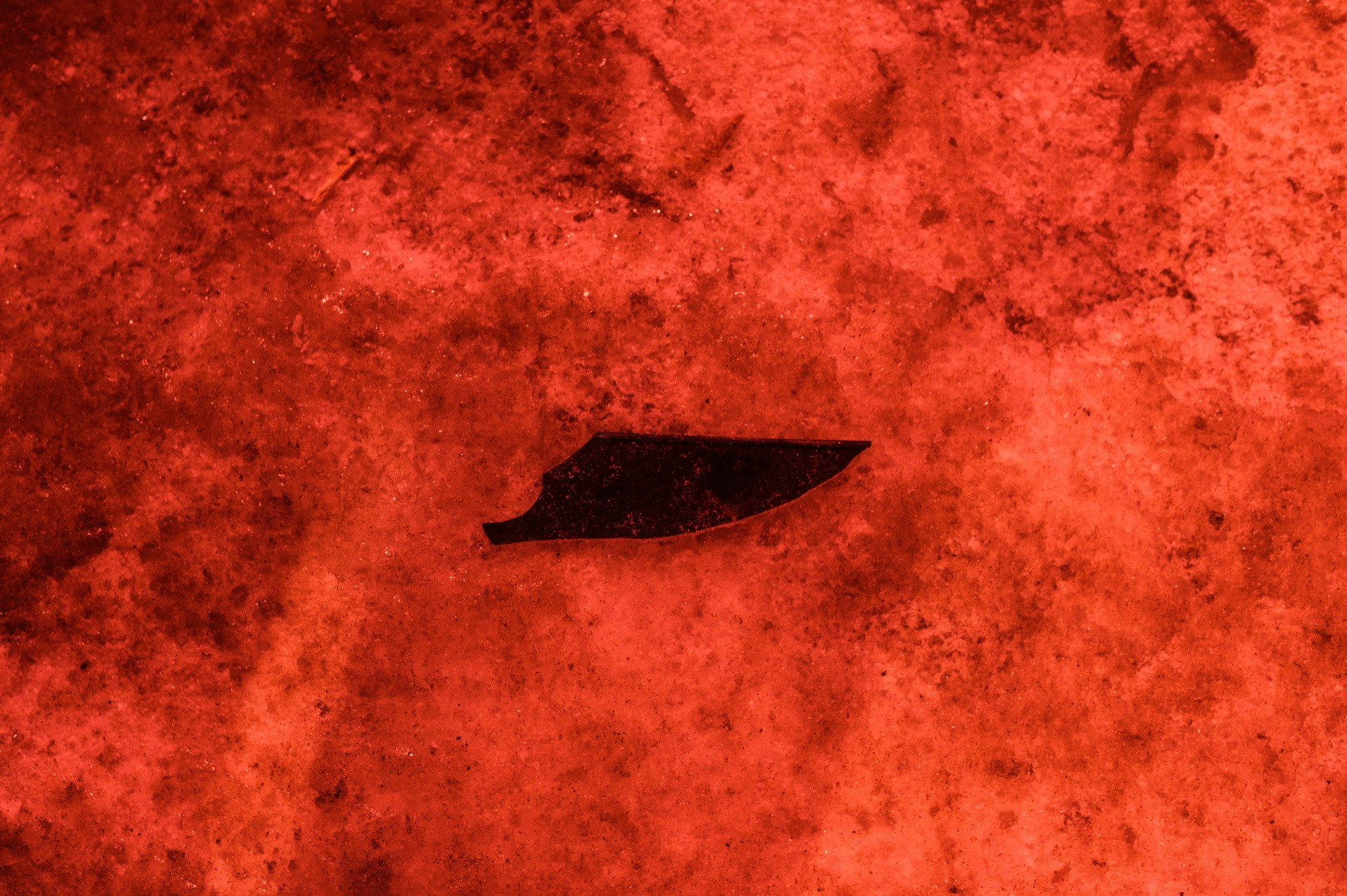 Образ действия. Наталия Шульгина — визуальный художник, фотограф