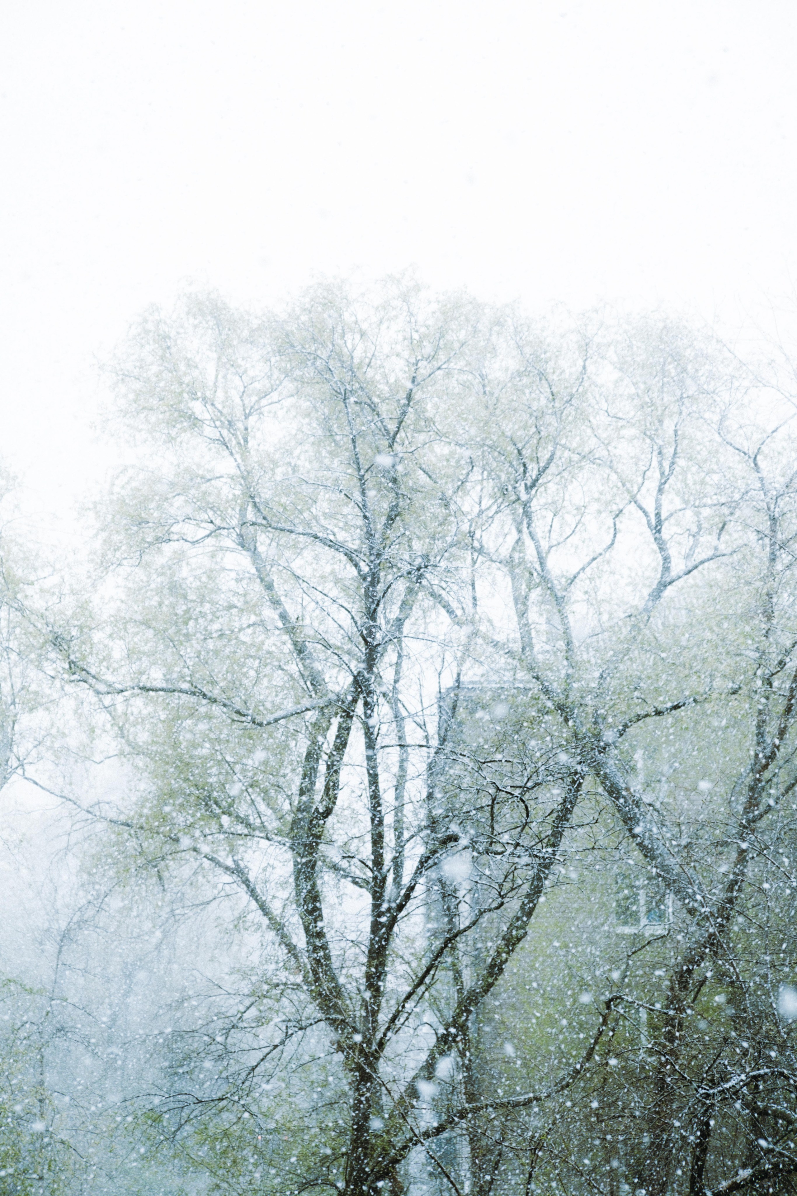 Замечательная повседневность. Контент-фотограф и видеограф в Перми