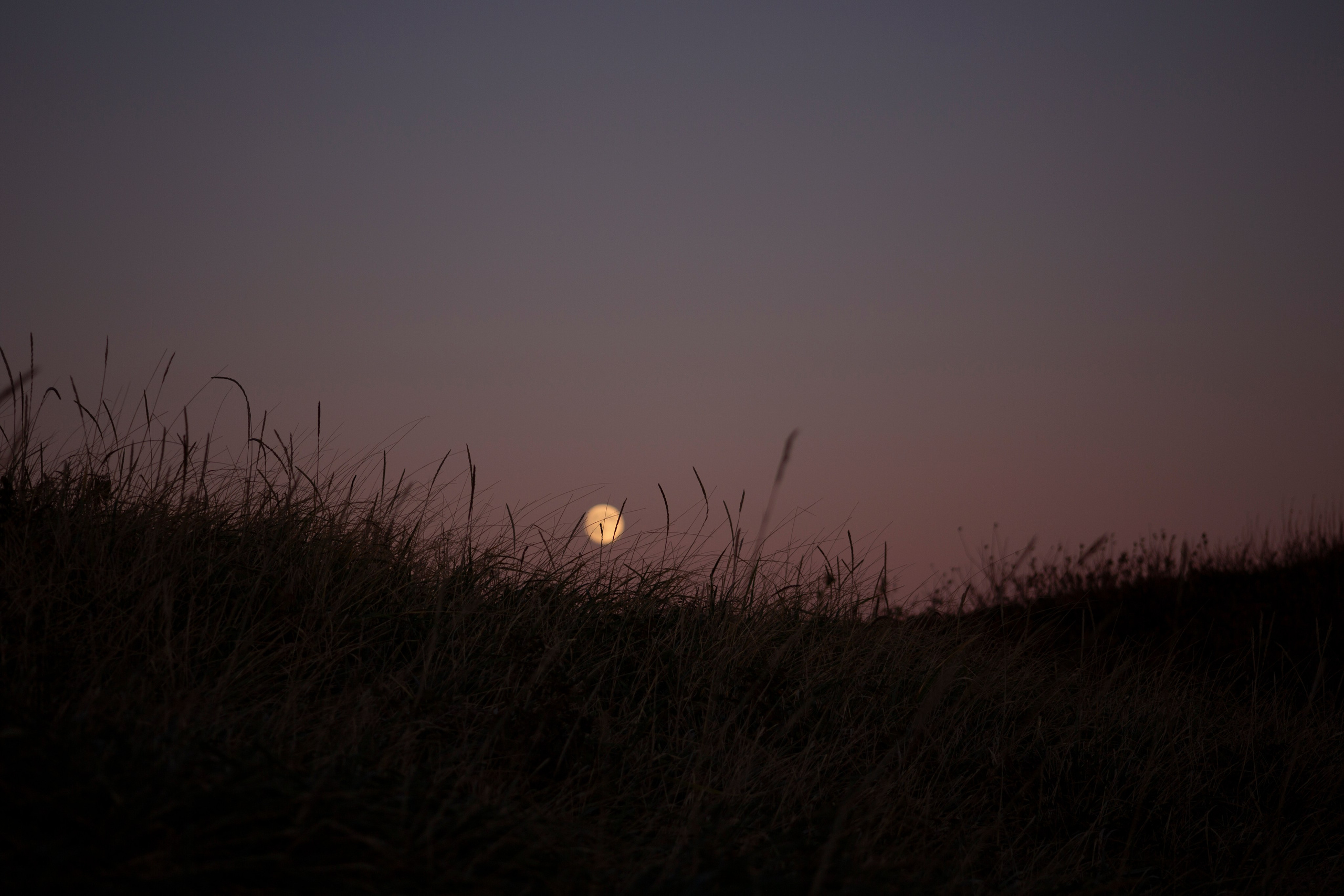 Первый день на Сахалине. Фотограф Даша Омельченко