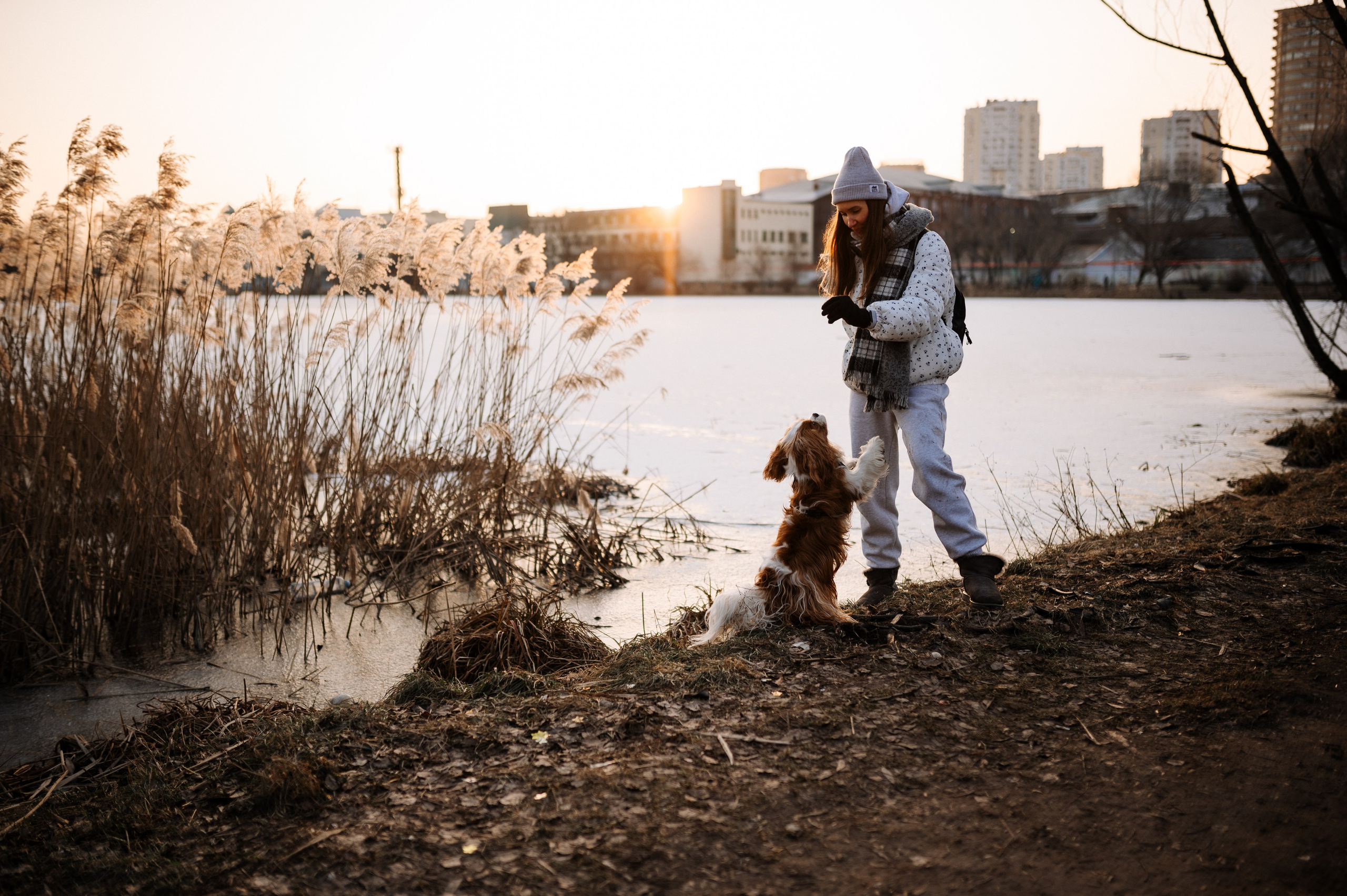 Лена и Арчи. Фотограф анималист в Москве Ольга Агушева