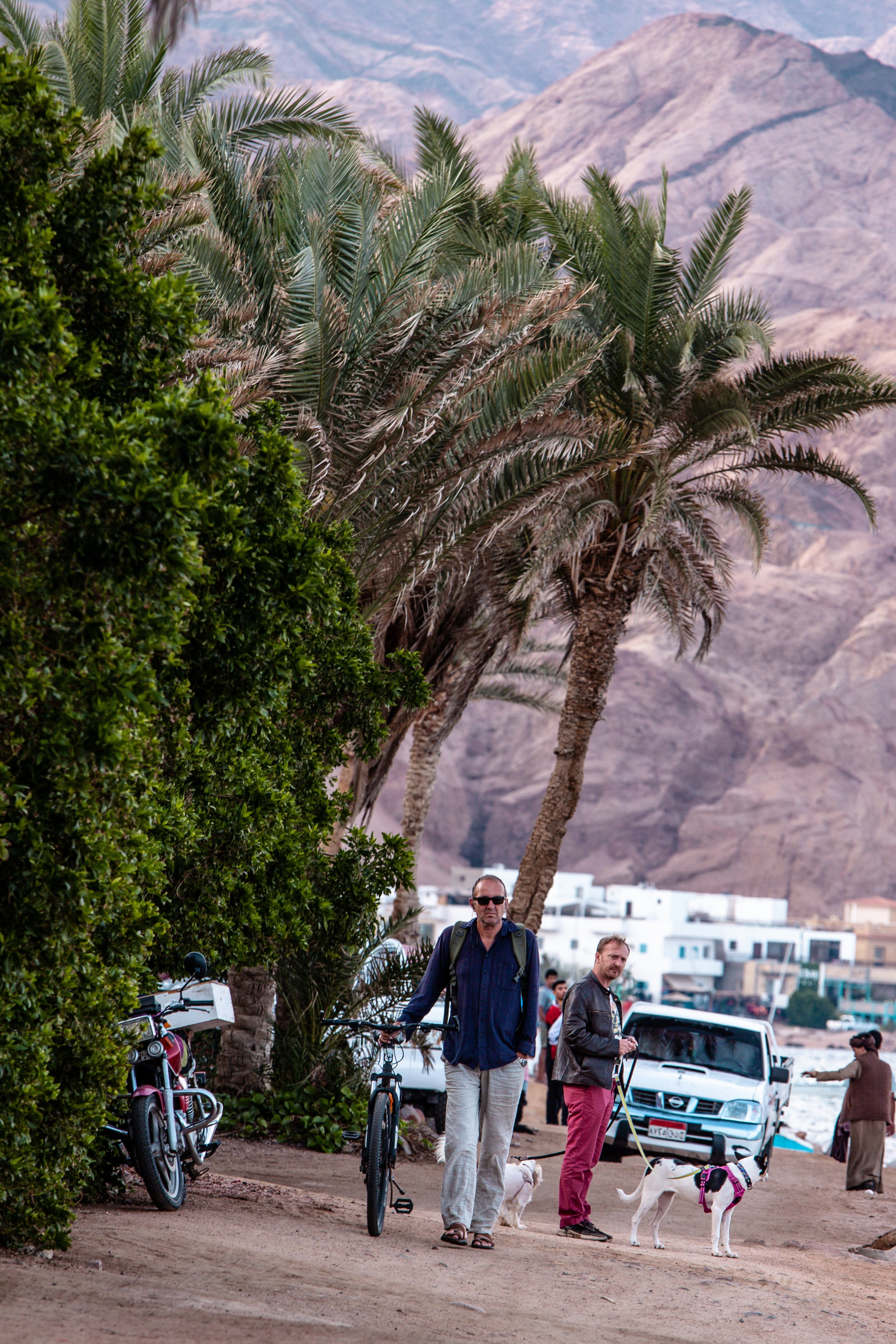 DAHABibi. Дария Галямова — фотограф: открытый, творческий, коммерческий