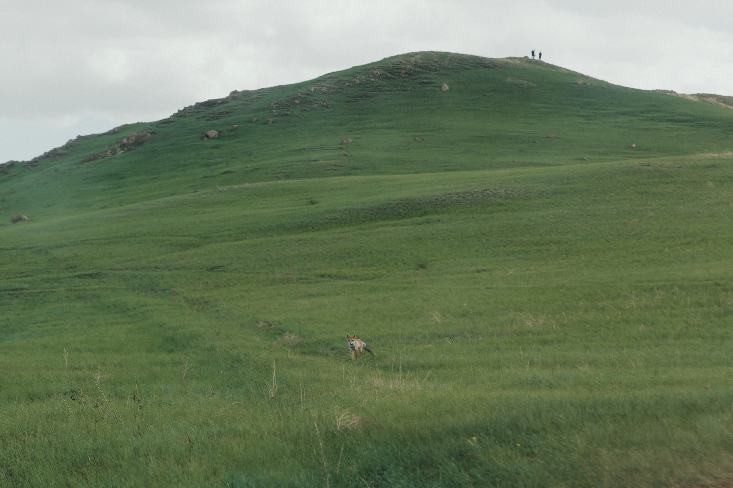 Баир и Милена. Свадебный и семейный фотограф в Улан-Удэ
