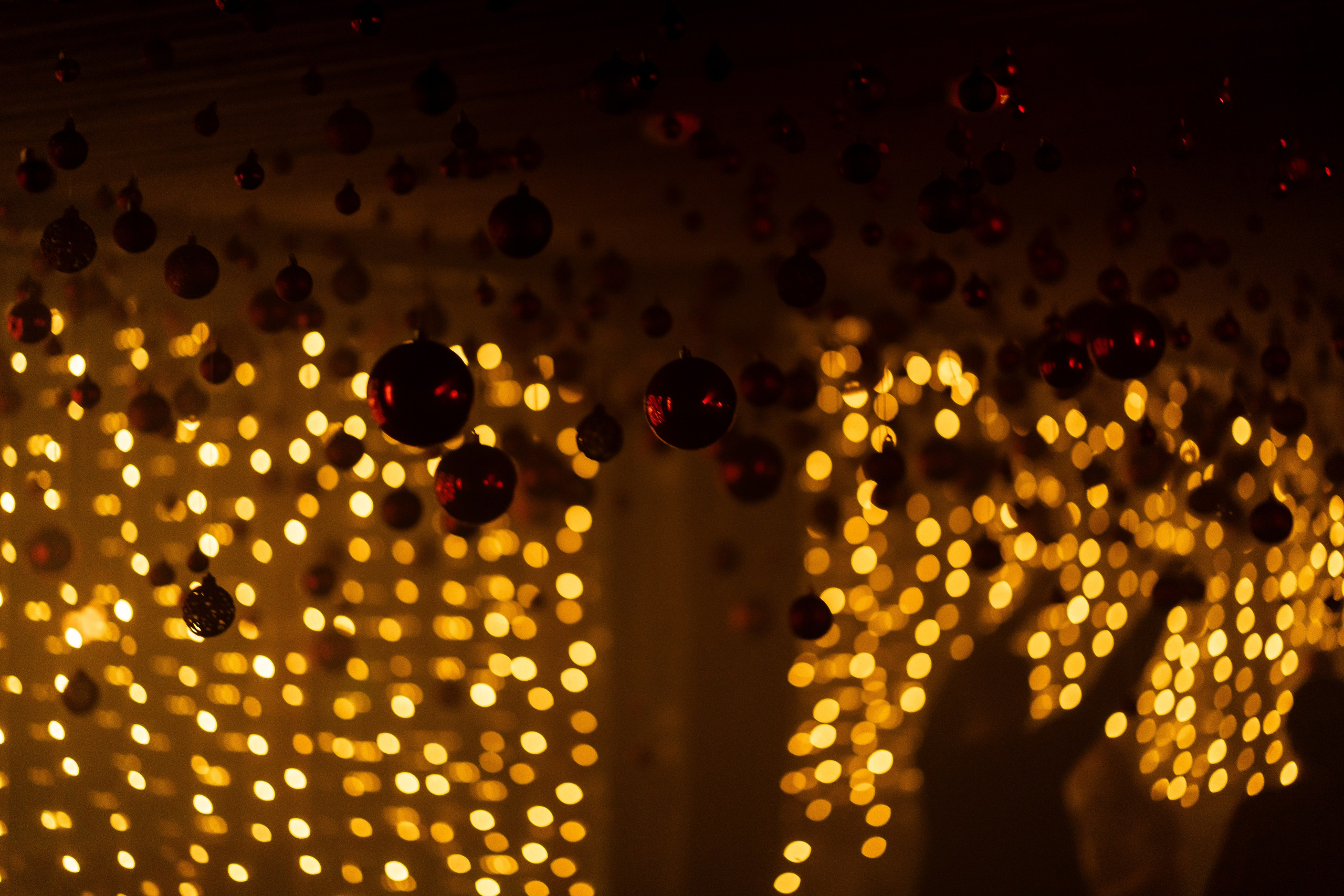 Rook's. Анастасия Паршукова — фотограф Шерегеш Новосибирск