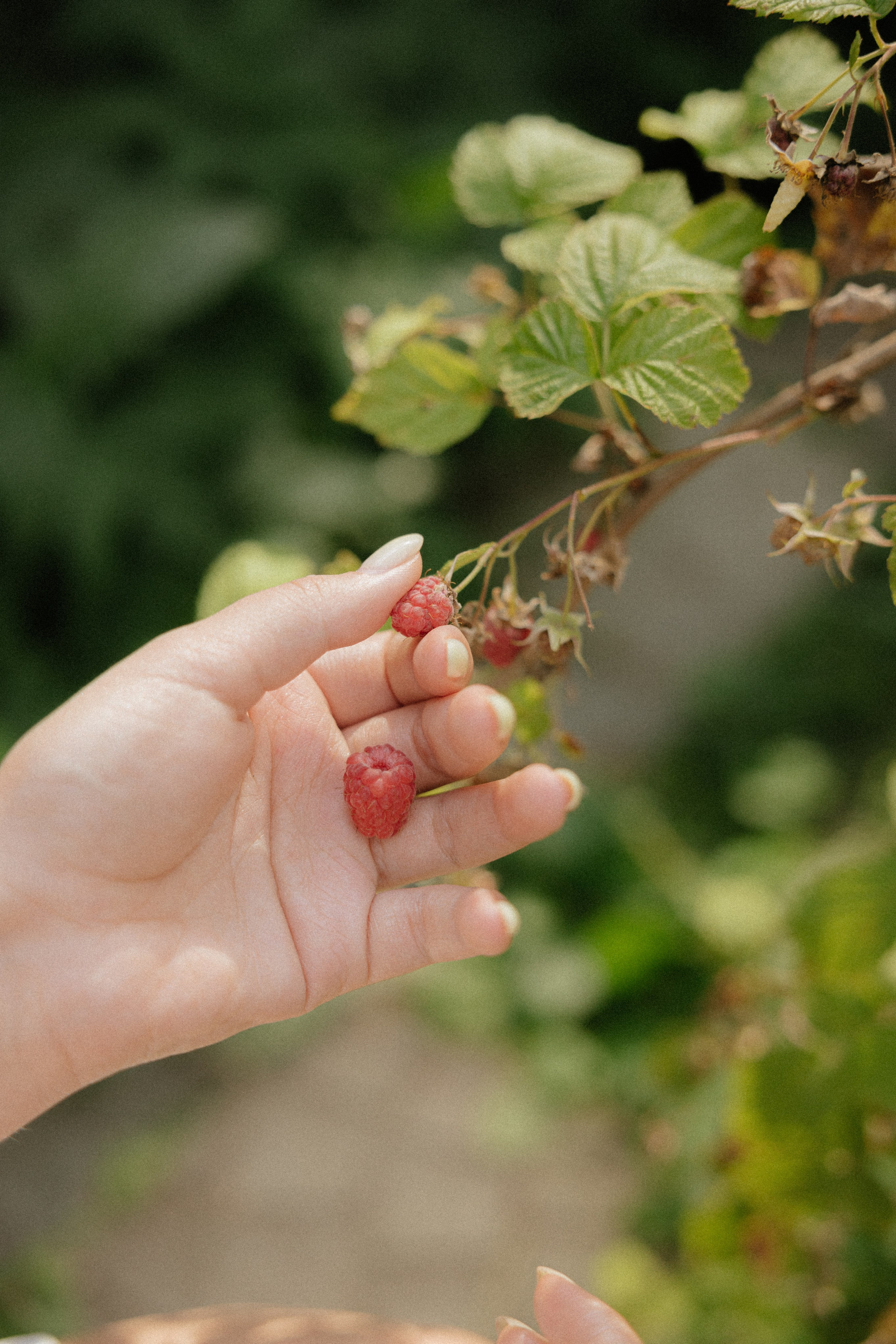 Полина. Семейный и детский фотограф Юлия Шох