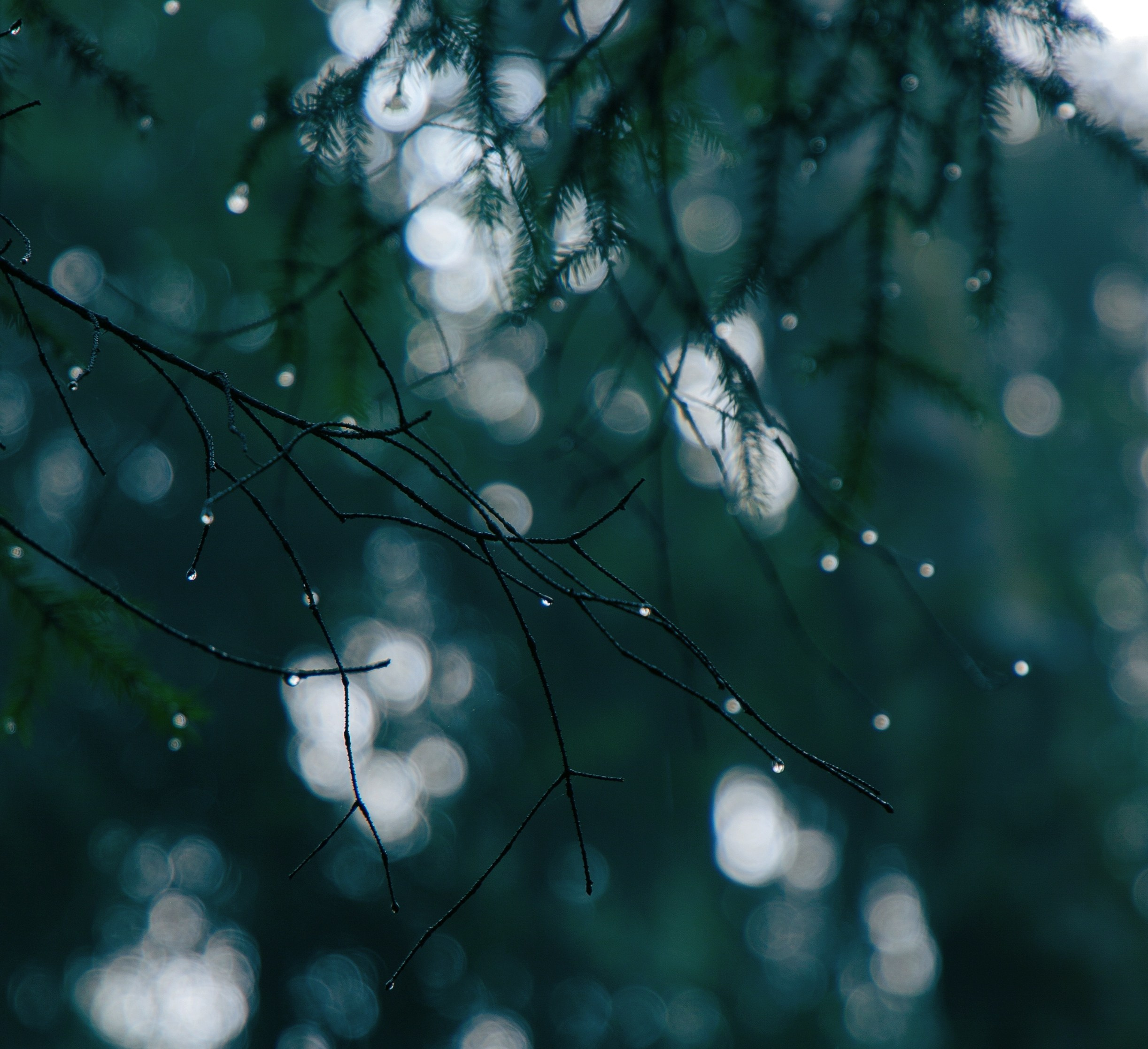 Фотограф | Москва