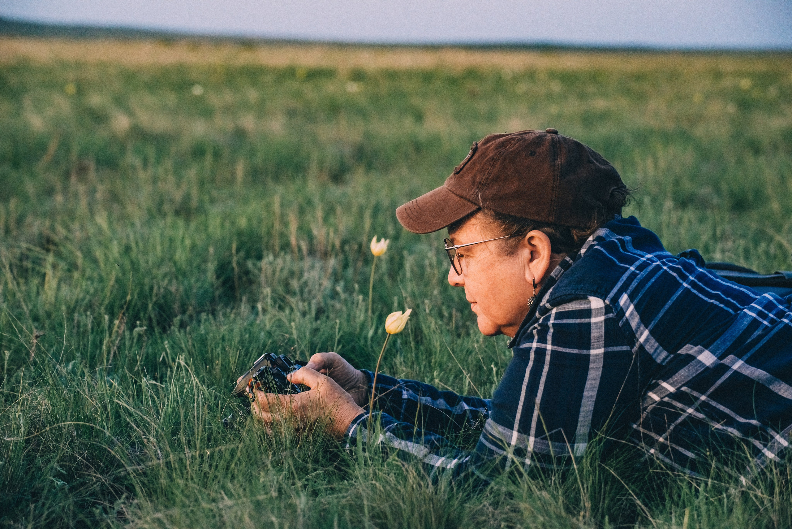 Заповедник «Оренбургский», предуральская степь. Фотообъединение Самарского областного отделения Союза журналистов России