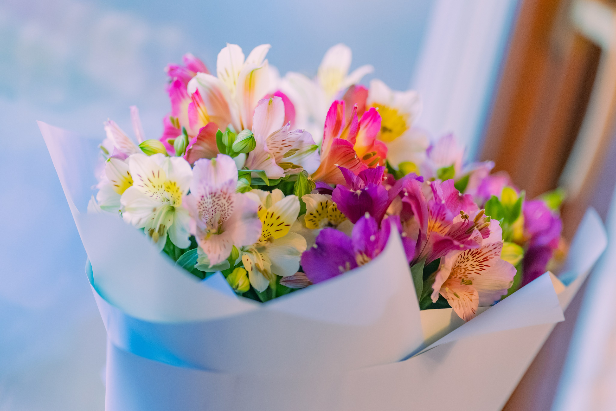 День Рождение Анны. Детский и семейный фотограф Евгения Вахнеева Москва Зеленоград