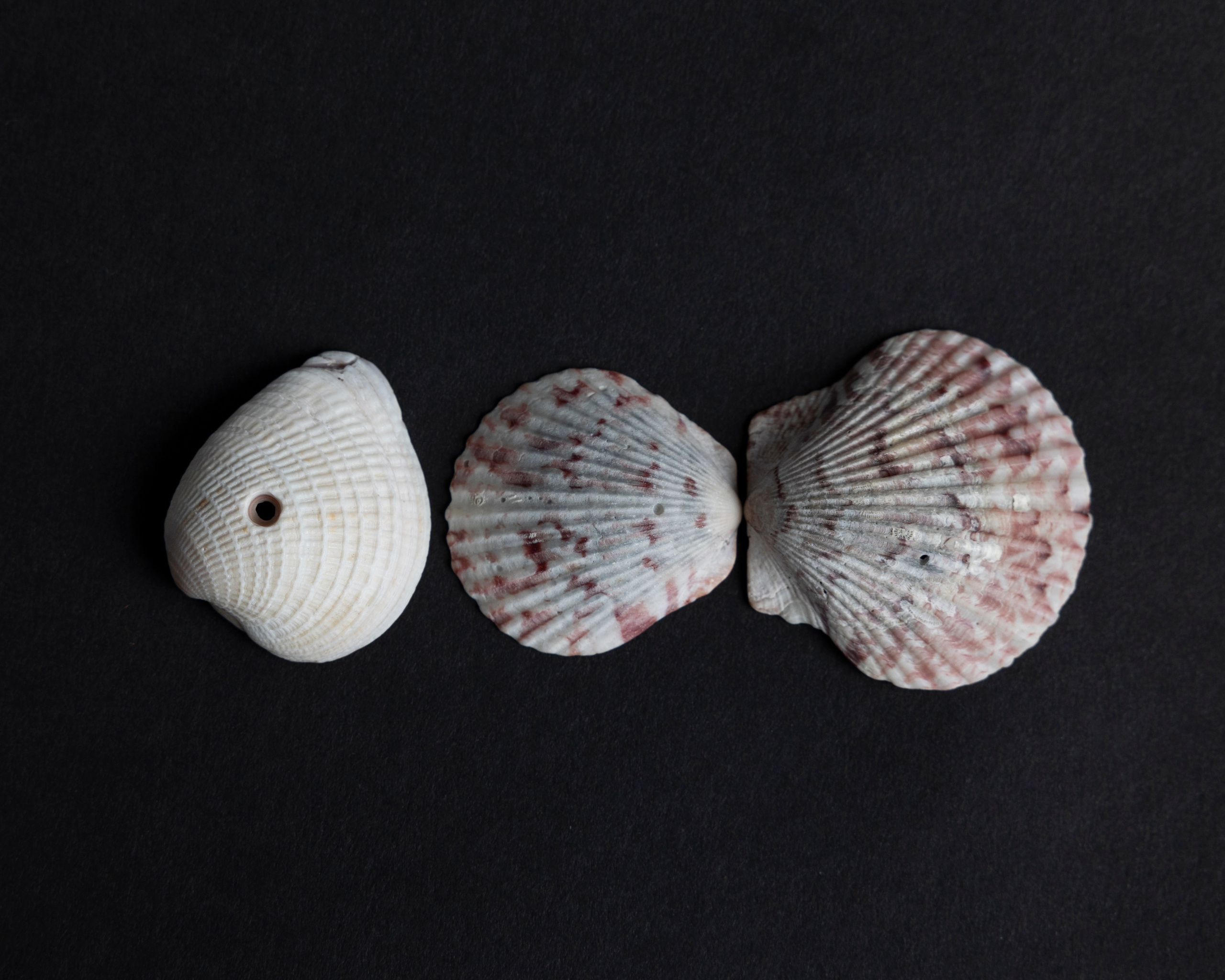 Art prints. Фотограф алина стерхова, алина стерхова фотограф, фотограф москва