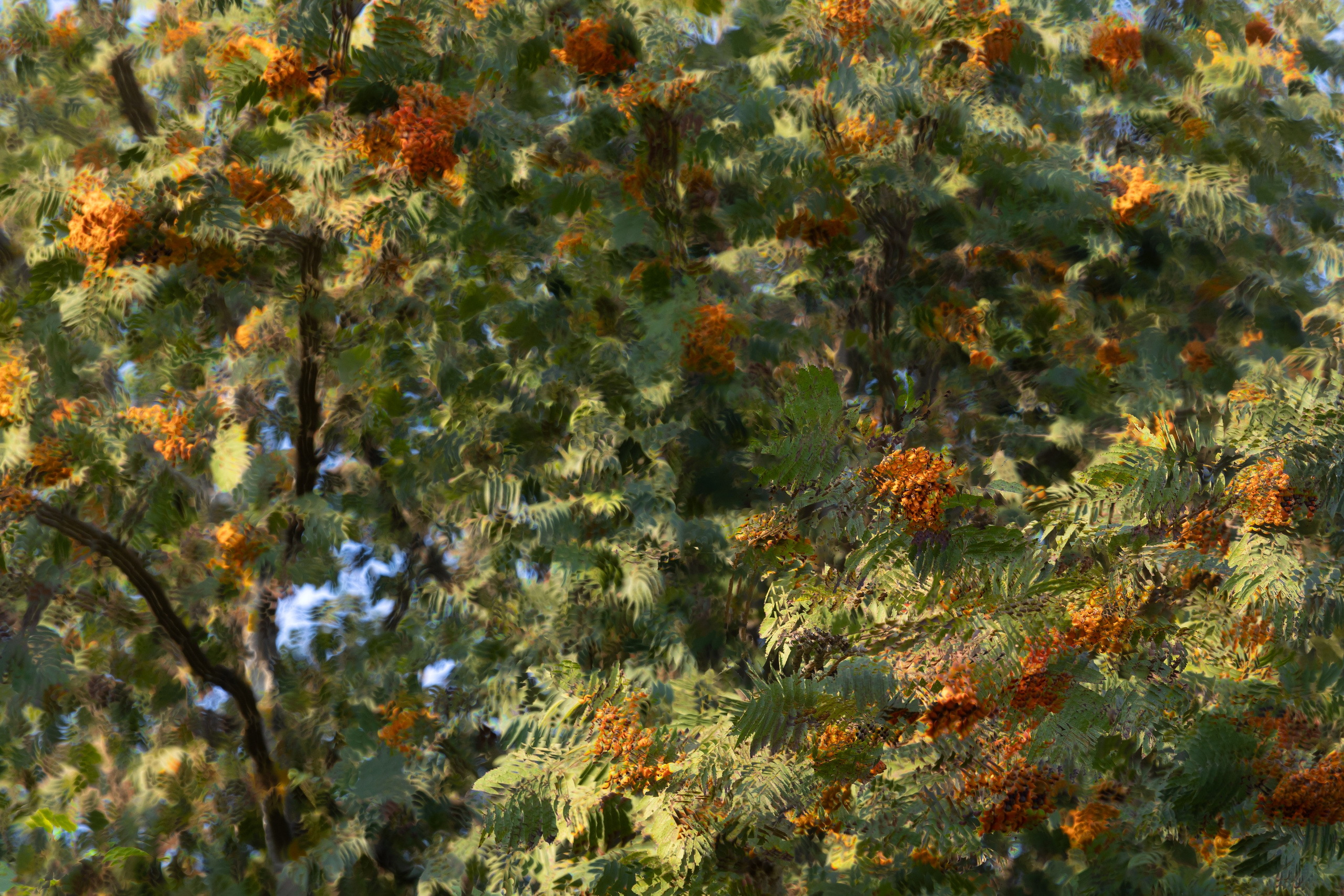 Art prints. Фотограф алина стерхова, алина стерхова фотограф, фотограф москва