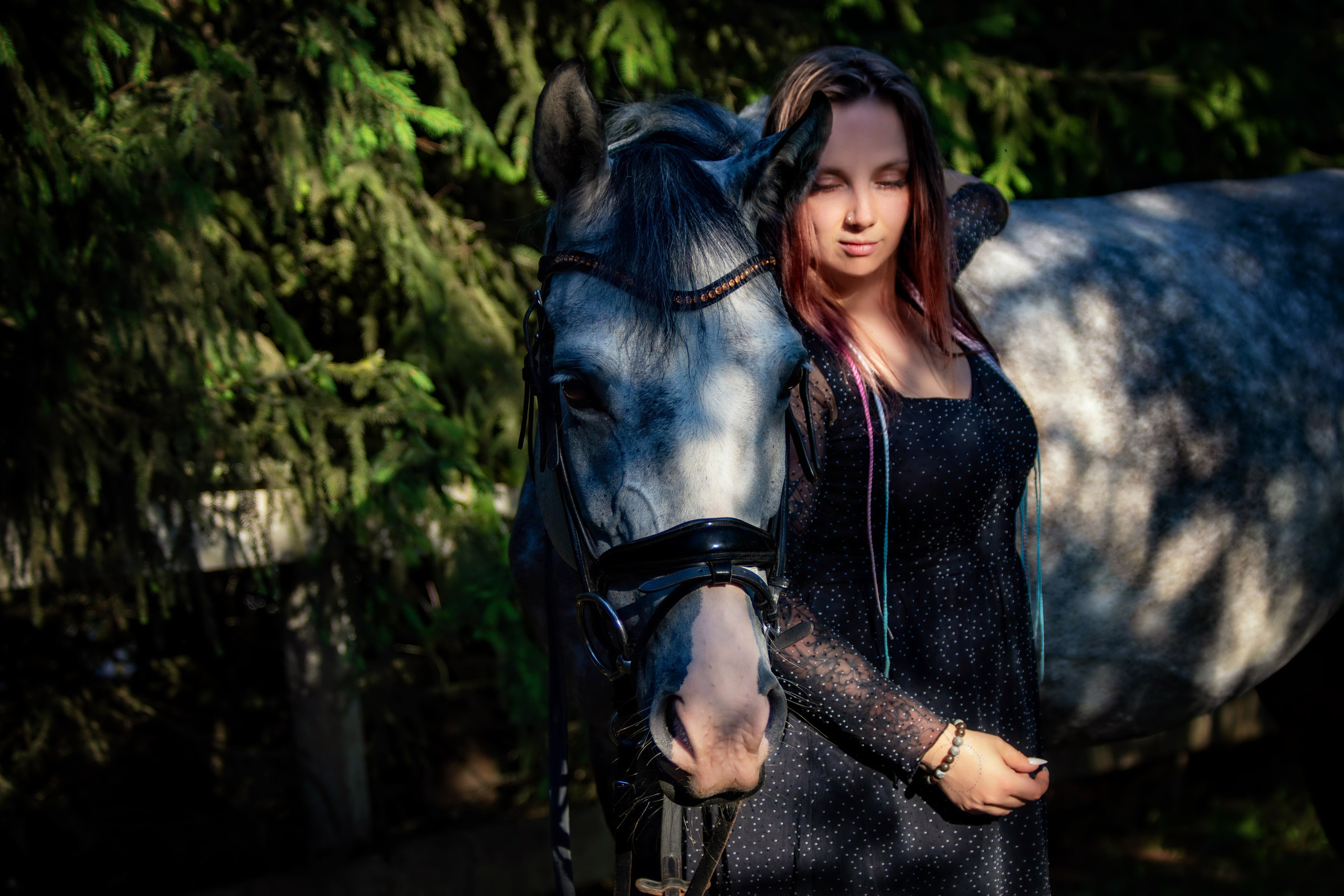 Фотосессии с лошадьми. Фотограф анималист — Тула, Москва