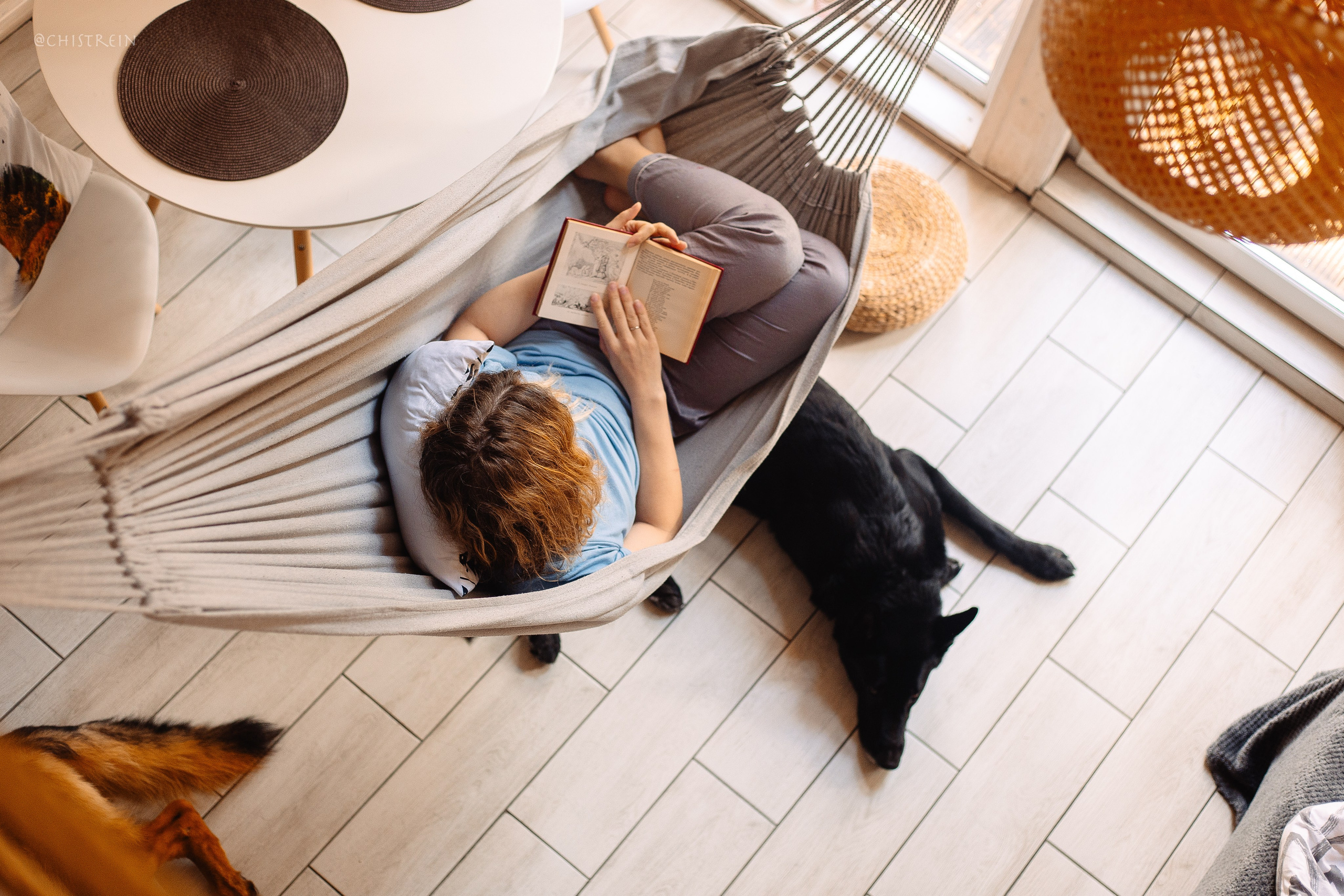 Shanti Home. Фотограф-анималист Наталия Чистюхина в г. Сосновый Бор и ЛО