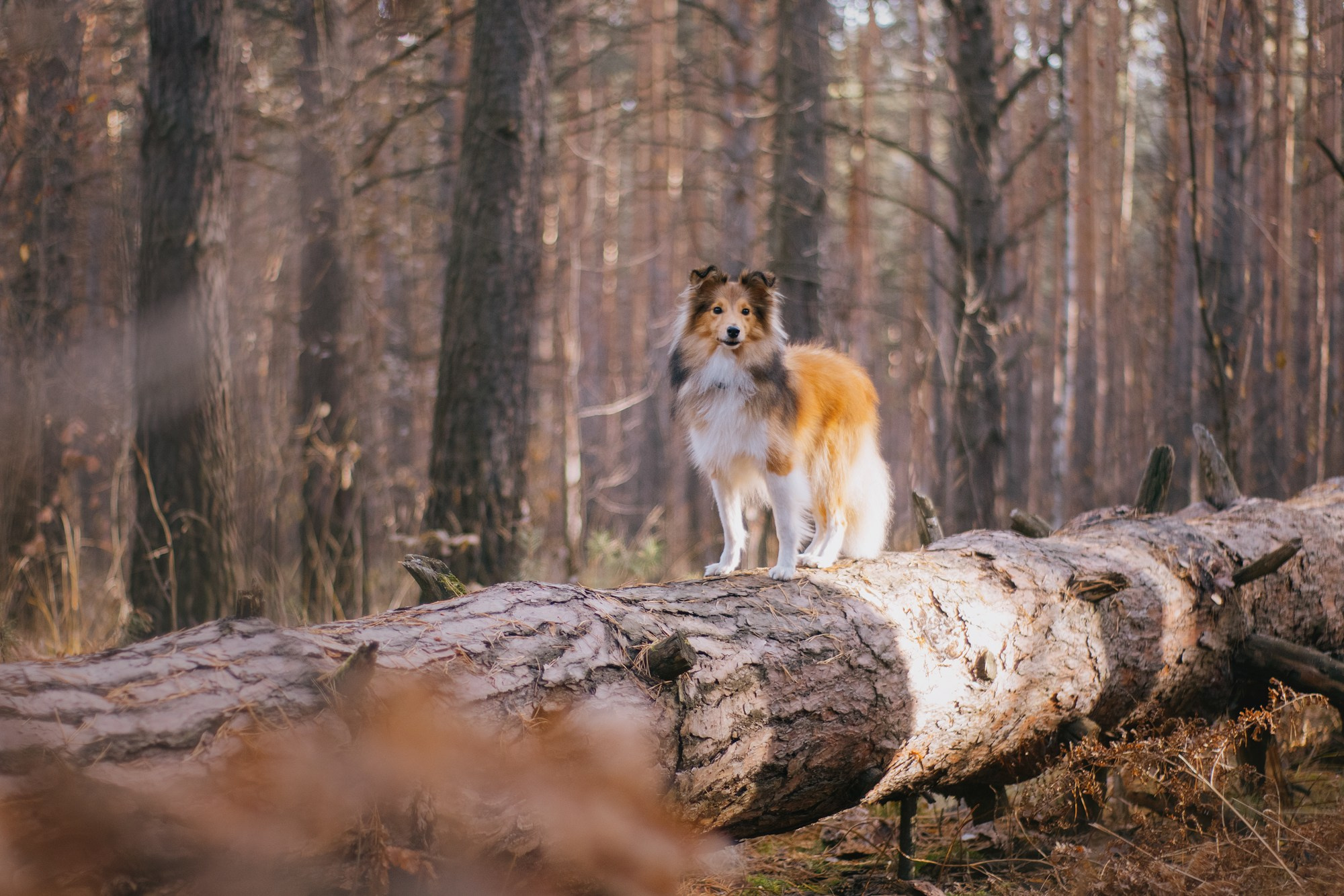 Анна и Габи. Фотограф в Тюмени Лизавета Сапицкая