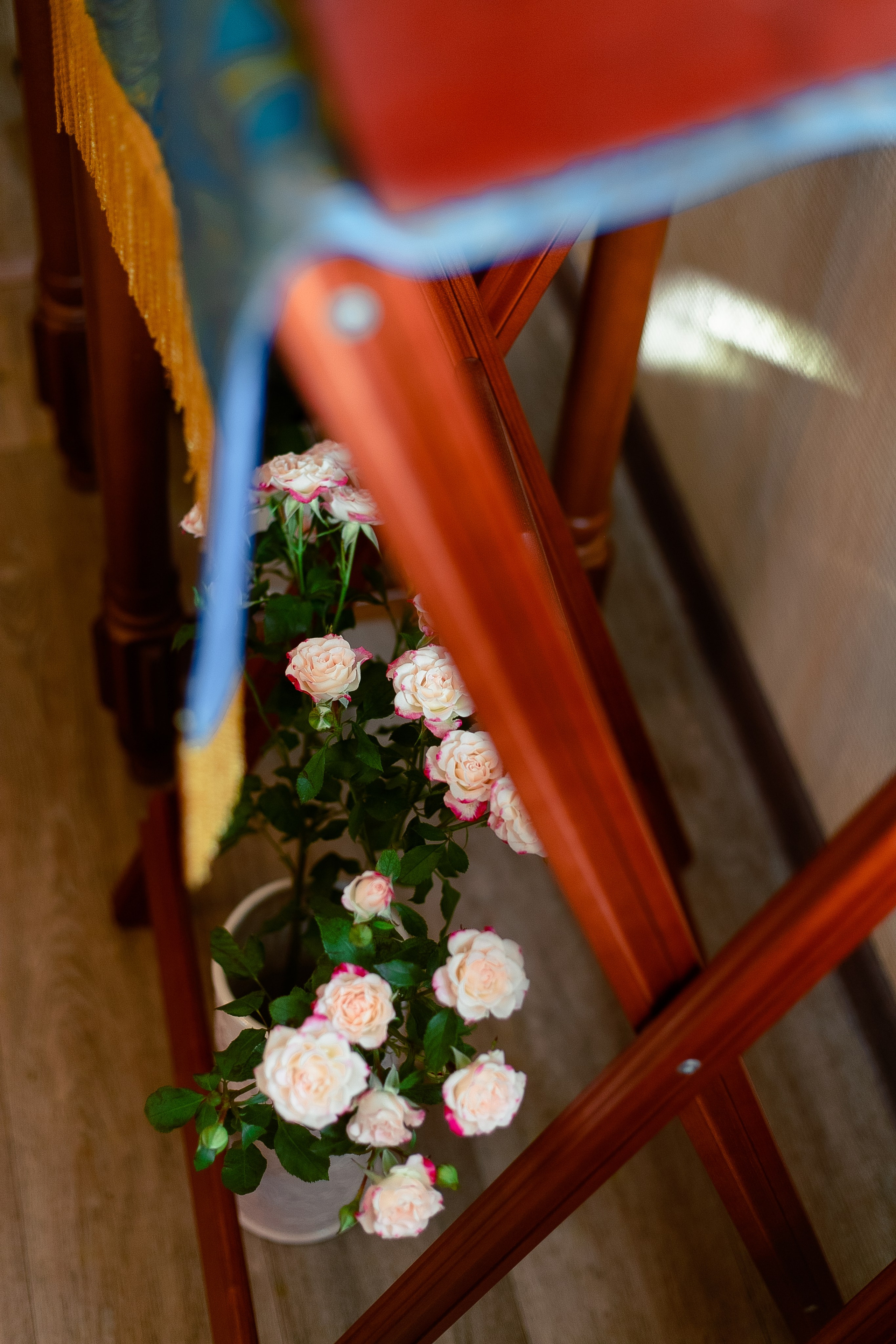 Благовещение 2025. Фотограф Кравченко Юлия. Энгельс