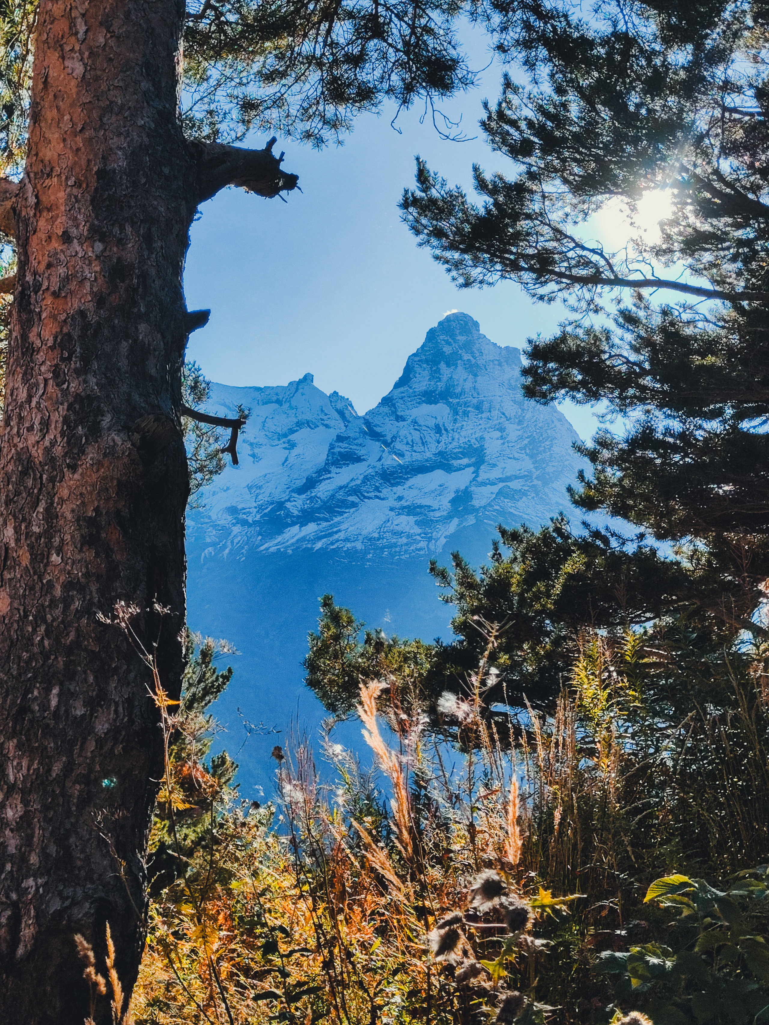 Домбай 2–5 июля. Bytheway