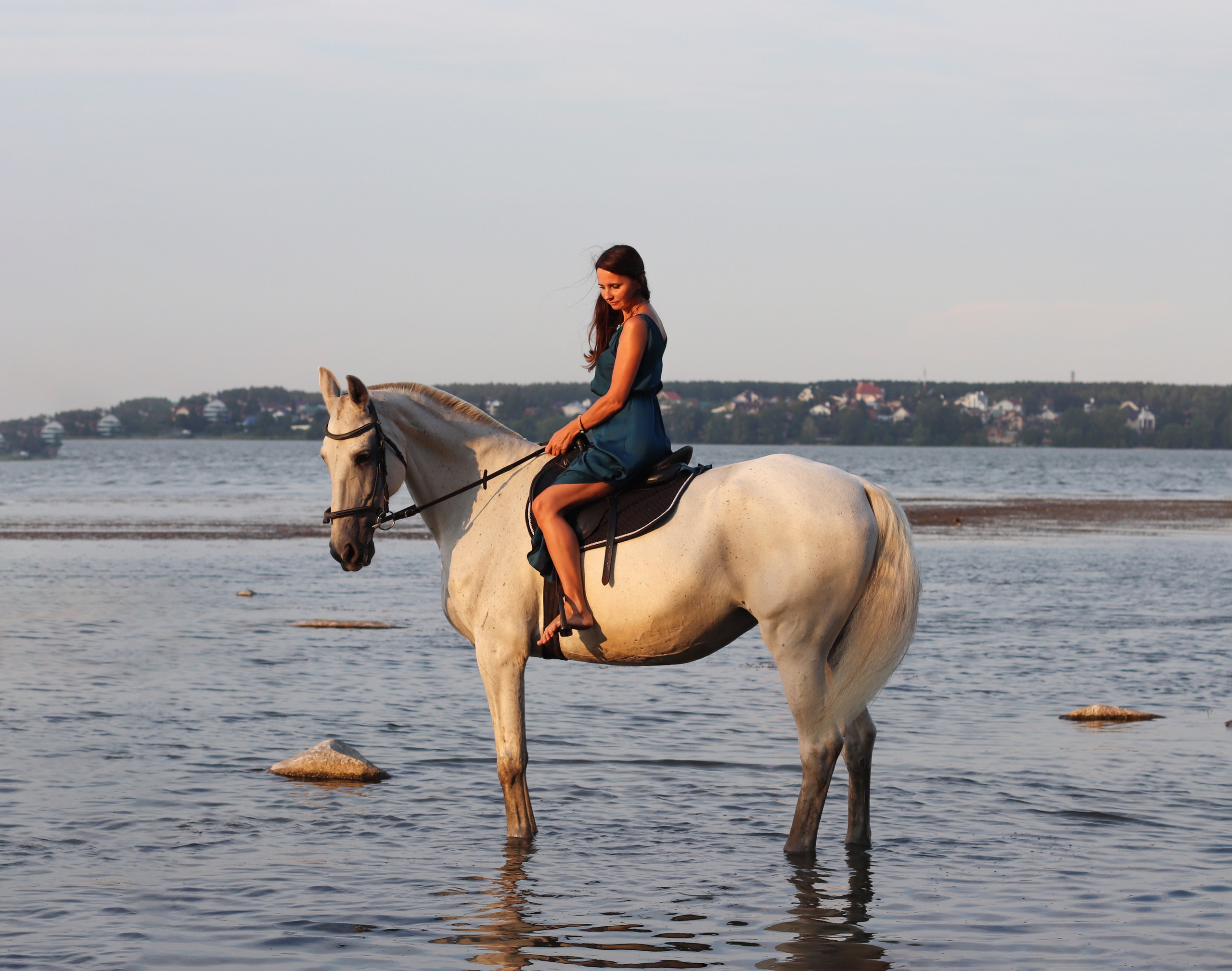 Фотографии людей с животными, кошка, собака, лошадь. Свадебный, семейный, женский и детский фотограф из Екатеринбурга