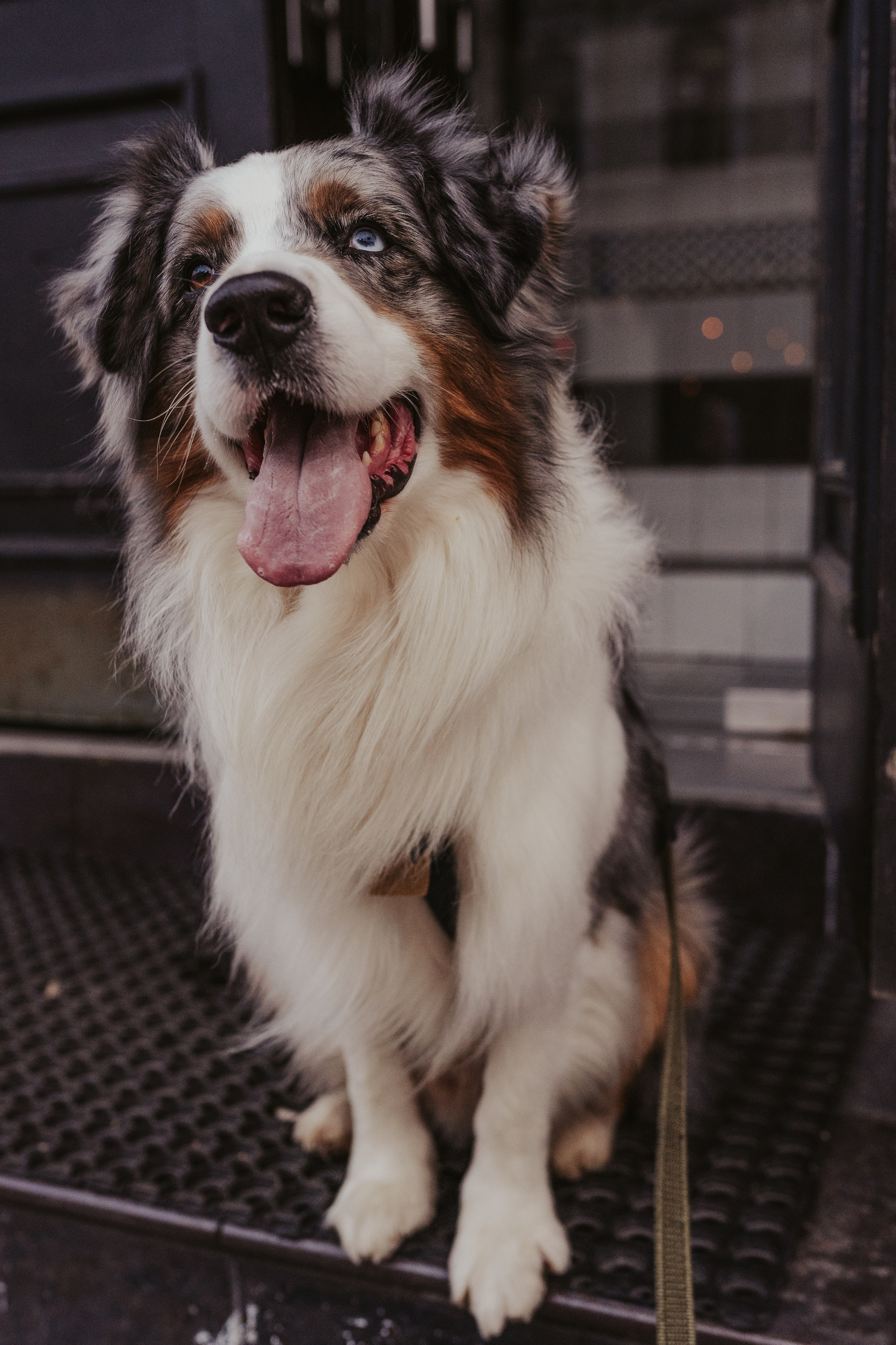 Лена и Принц, Китай- Город. Свадебный фотограф в Москве Анна Полушина
