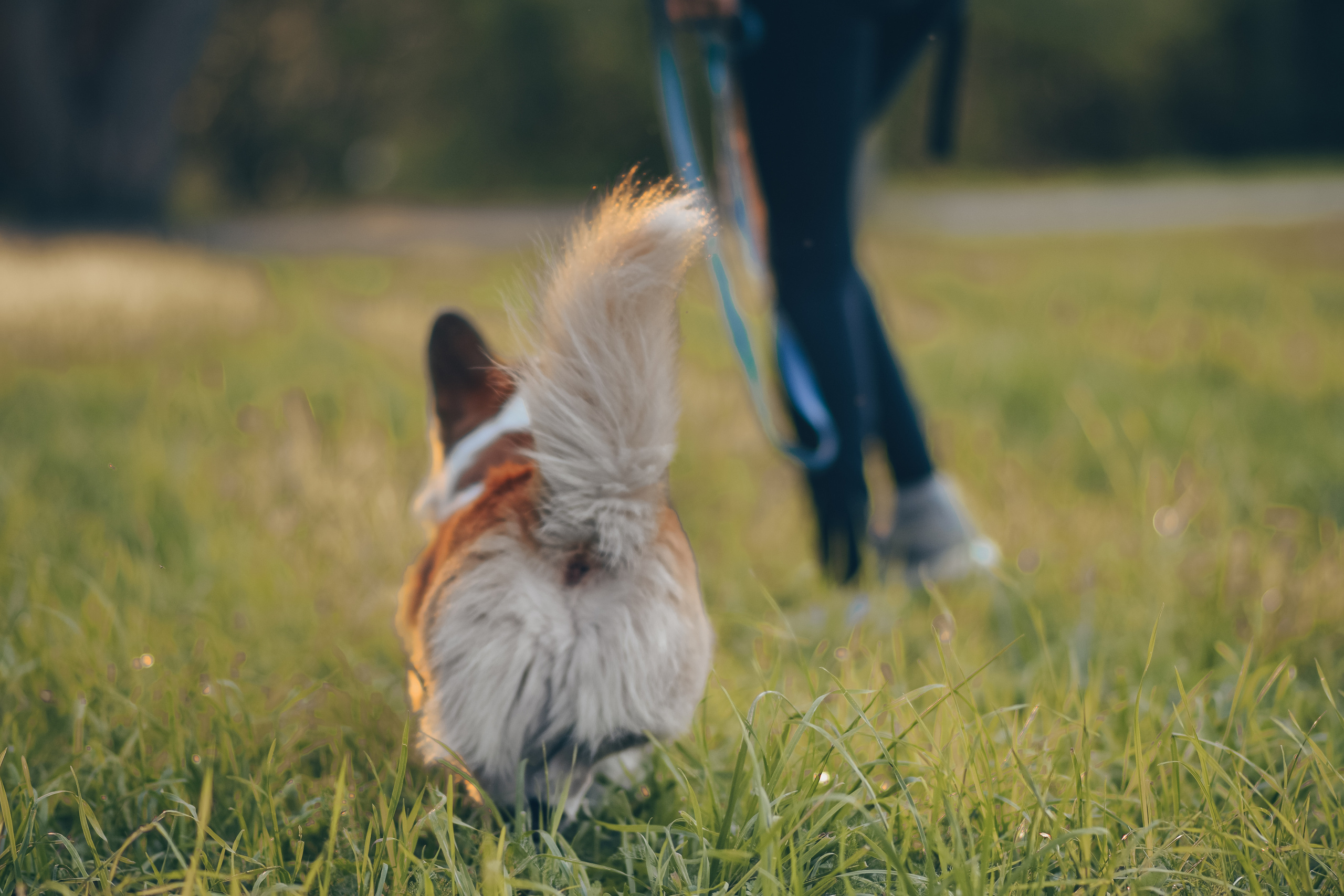 Алина и Ройс, парк на Яузе. Свадебный фотограф в Москве Анна Полушина