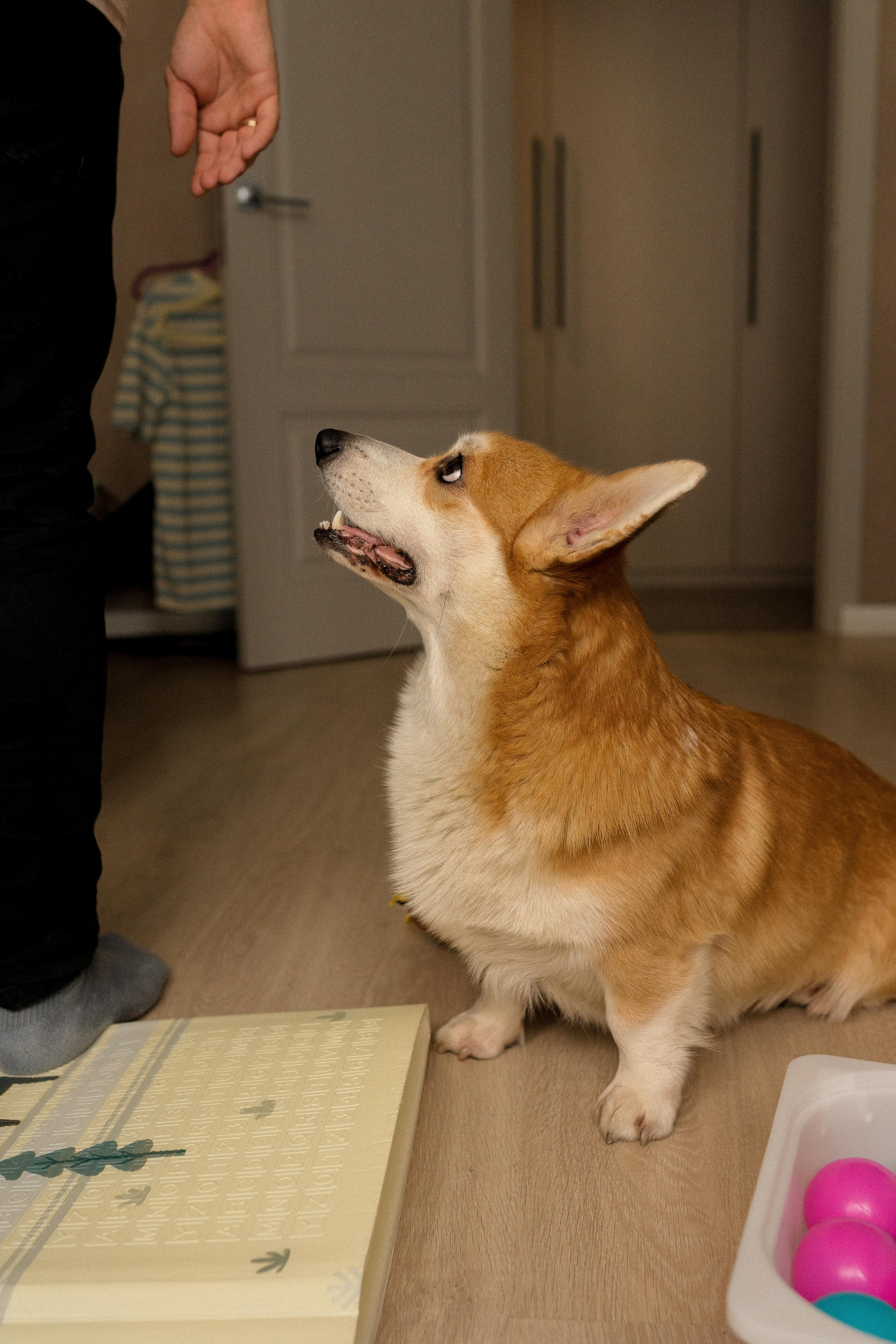 Семейная фотосессия в Москве, семейный фотограф Анна Полушина. Свадебный фотограф в Москве Анна Полушина