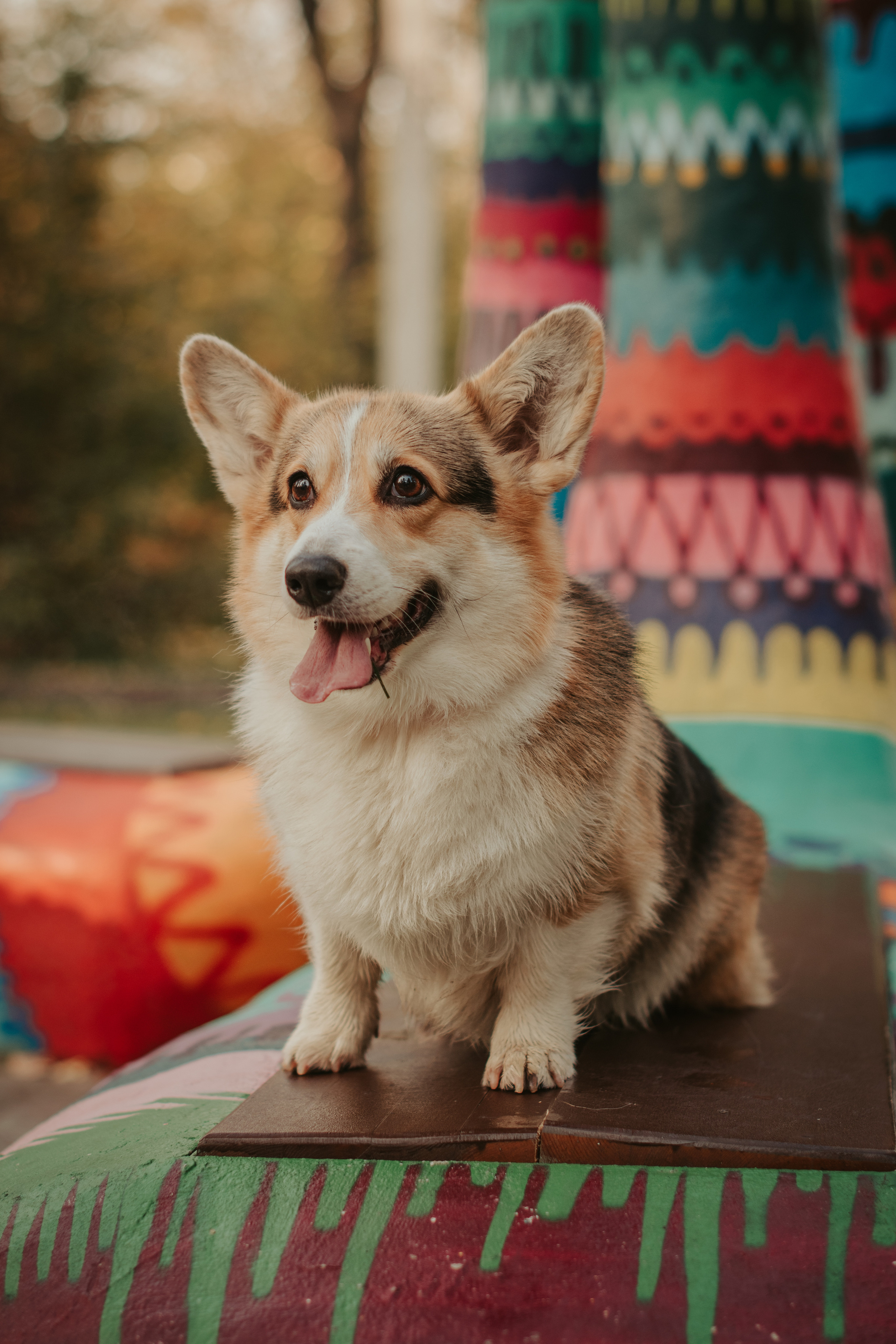 Аня и Булочка, Сокольники. Свадебный фотограф в Москве Анна Полушина