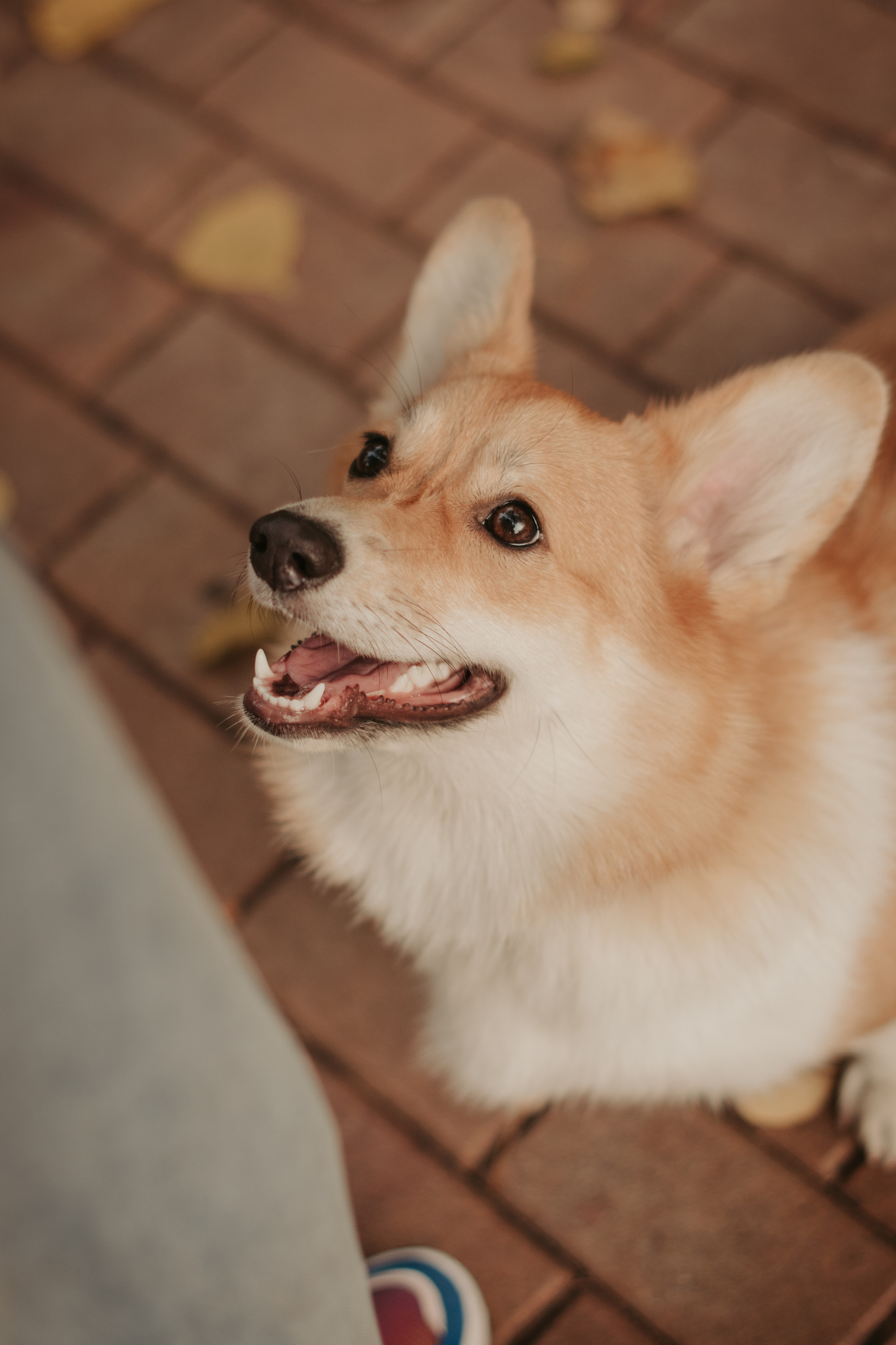 Марина и Мася, Новодевичий сквер. Свадебный фотограф в Москве Анна Полушина