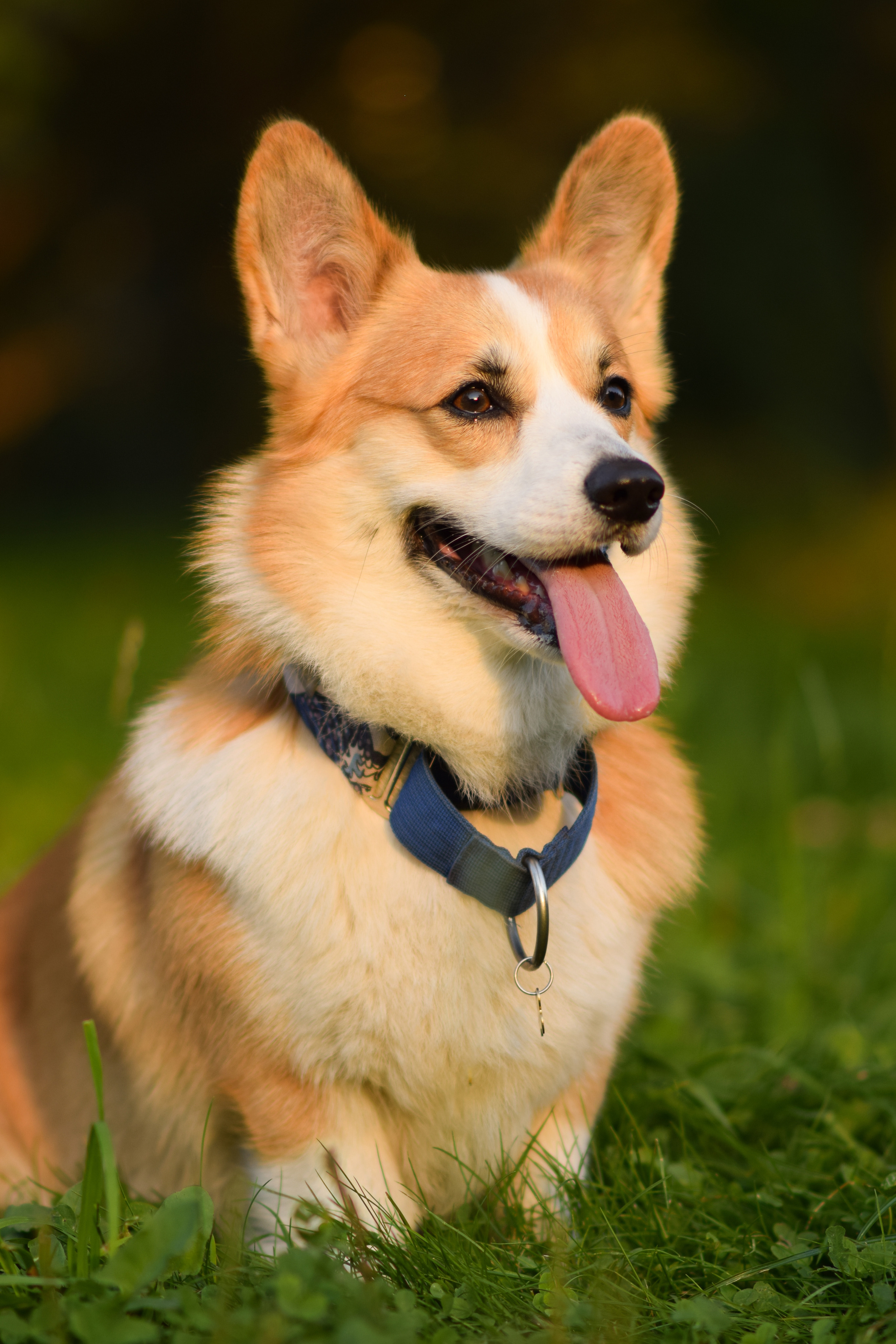 Алина и Ройс, парк на Яузе. Свадебный фотограф в Москве Анна Полушина