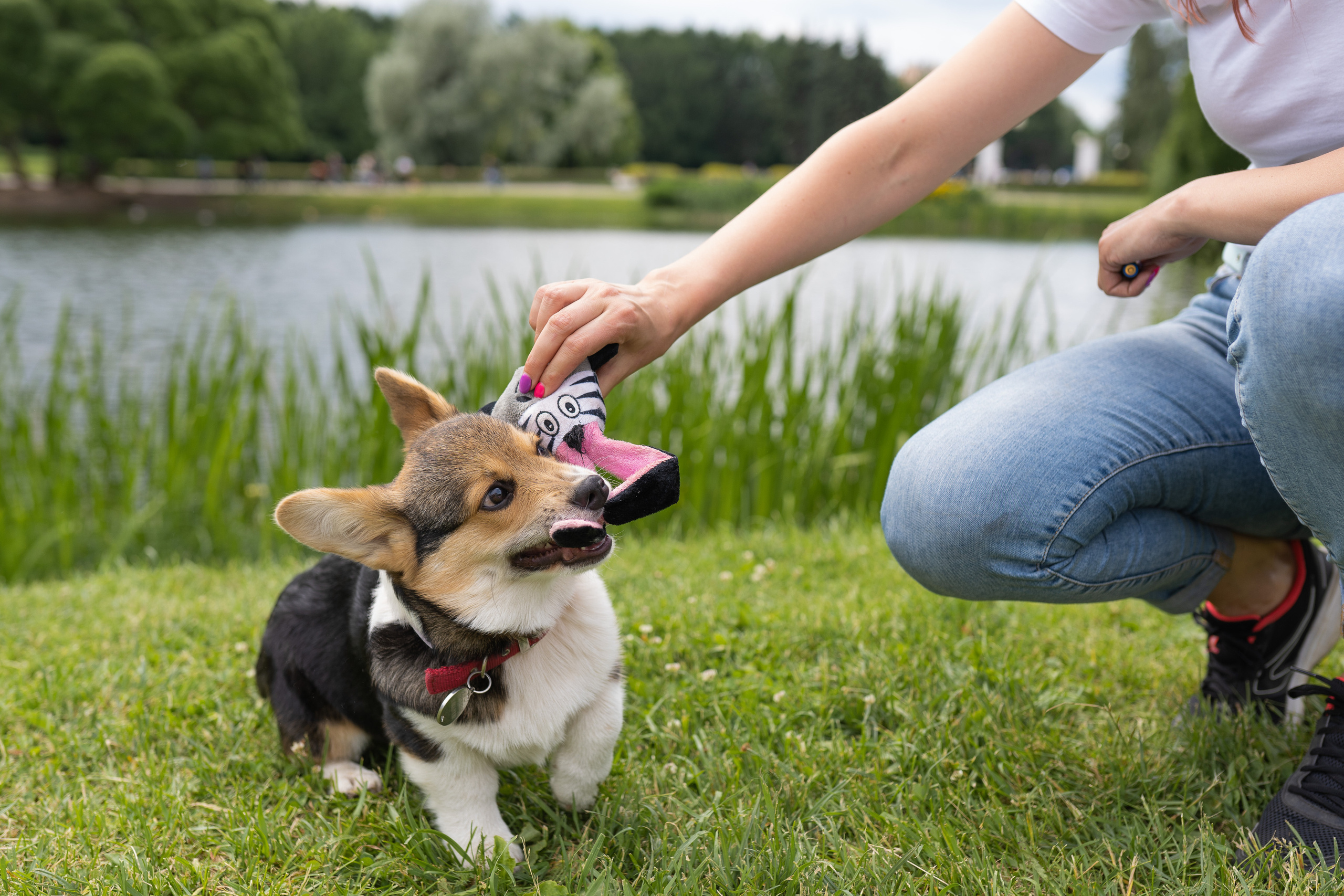 Каспер и Полина, Ботанический сад. Свадебный фотограф в Москве Анна Полушина