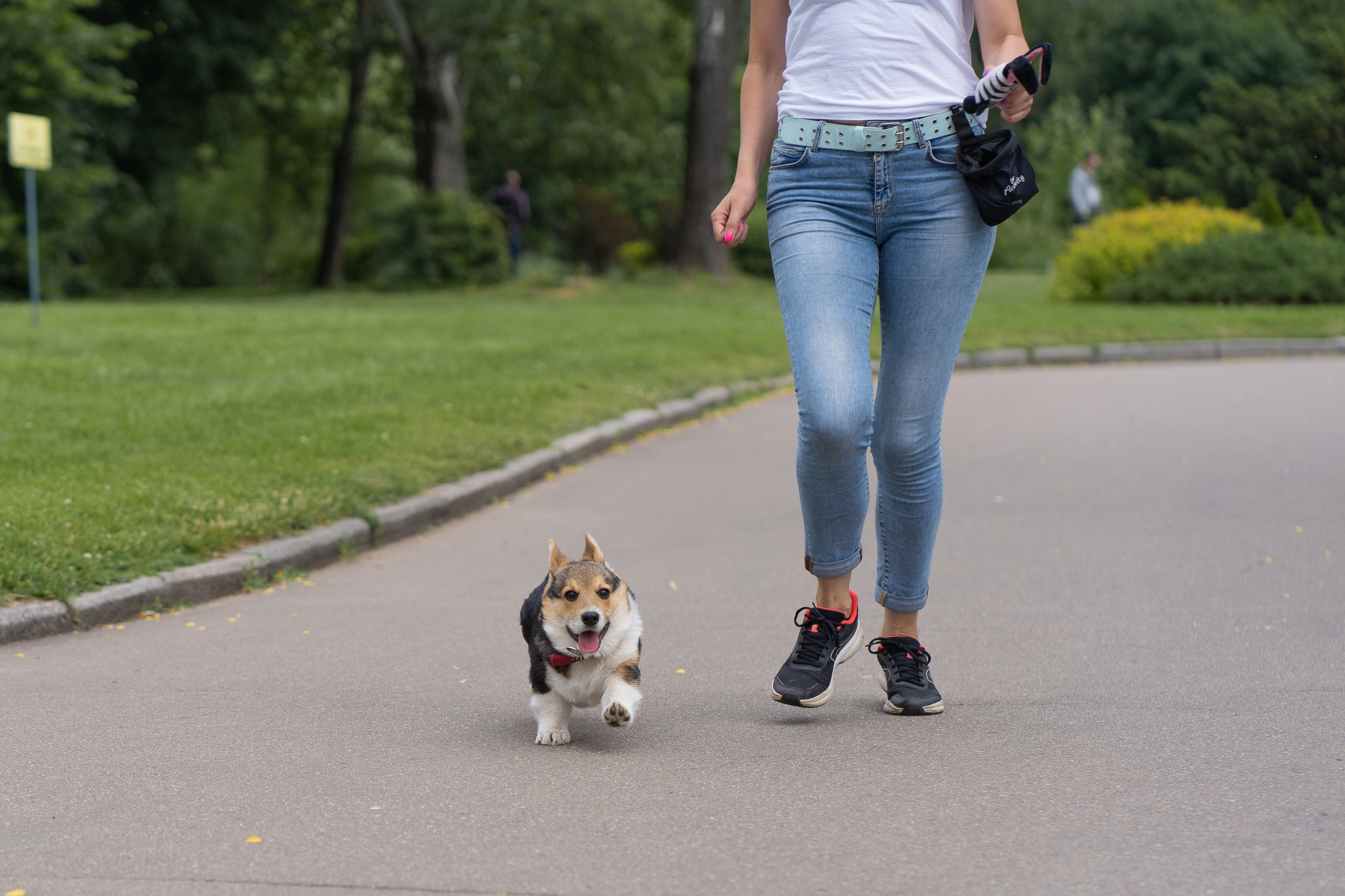 Каспер и Полина, Ботанический сад. Свадебный фотограф в Москве Анна Полушина