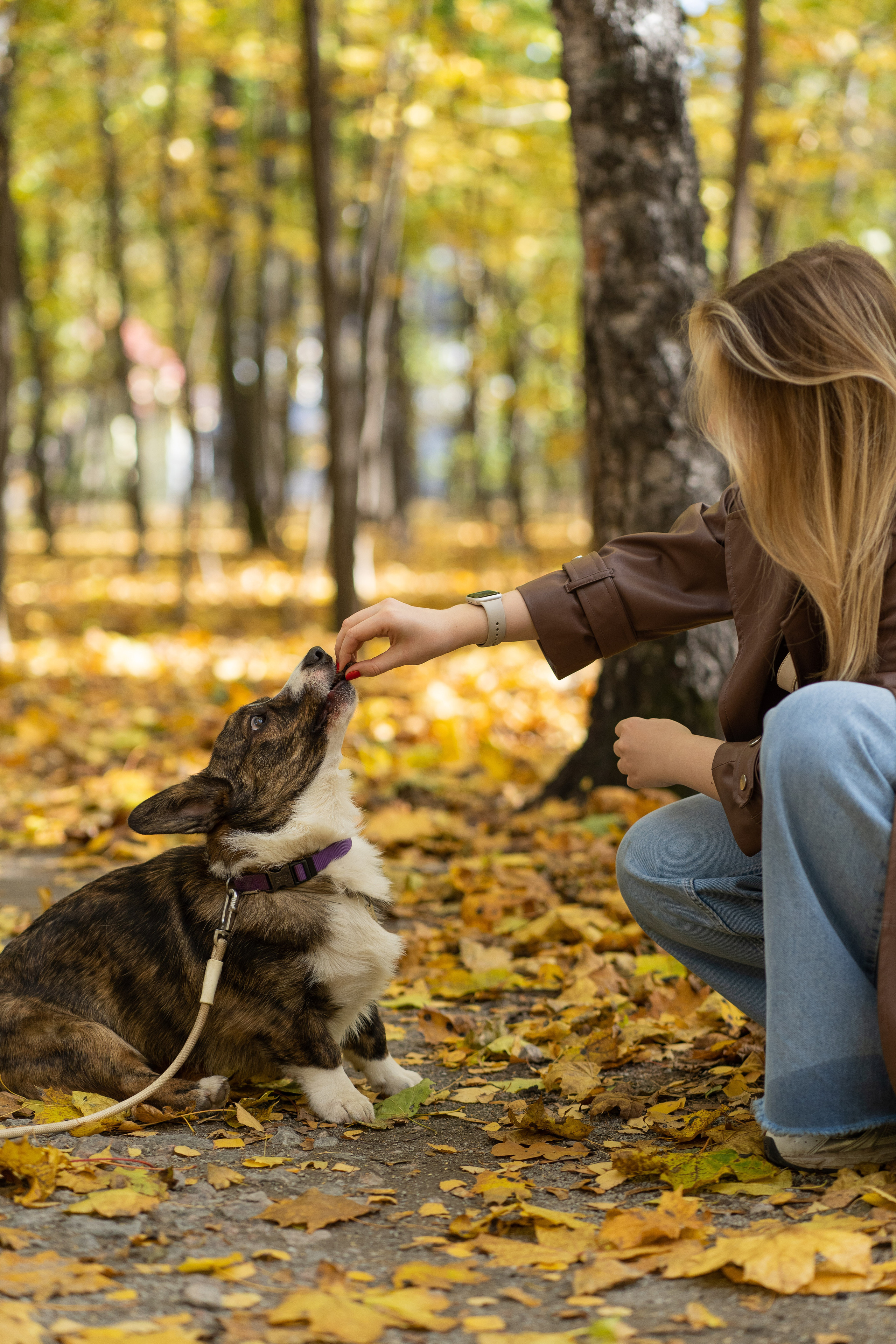 Боря, Даша и Маффин. Свадебный фотограф в Москве Анна Полушина