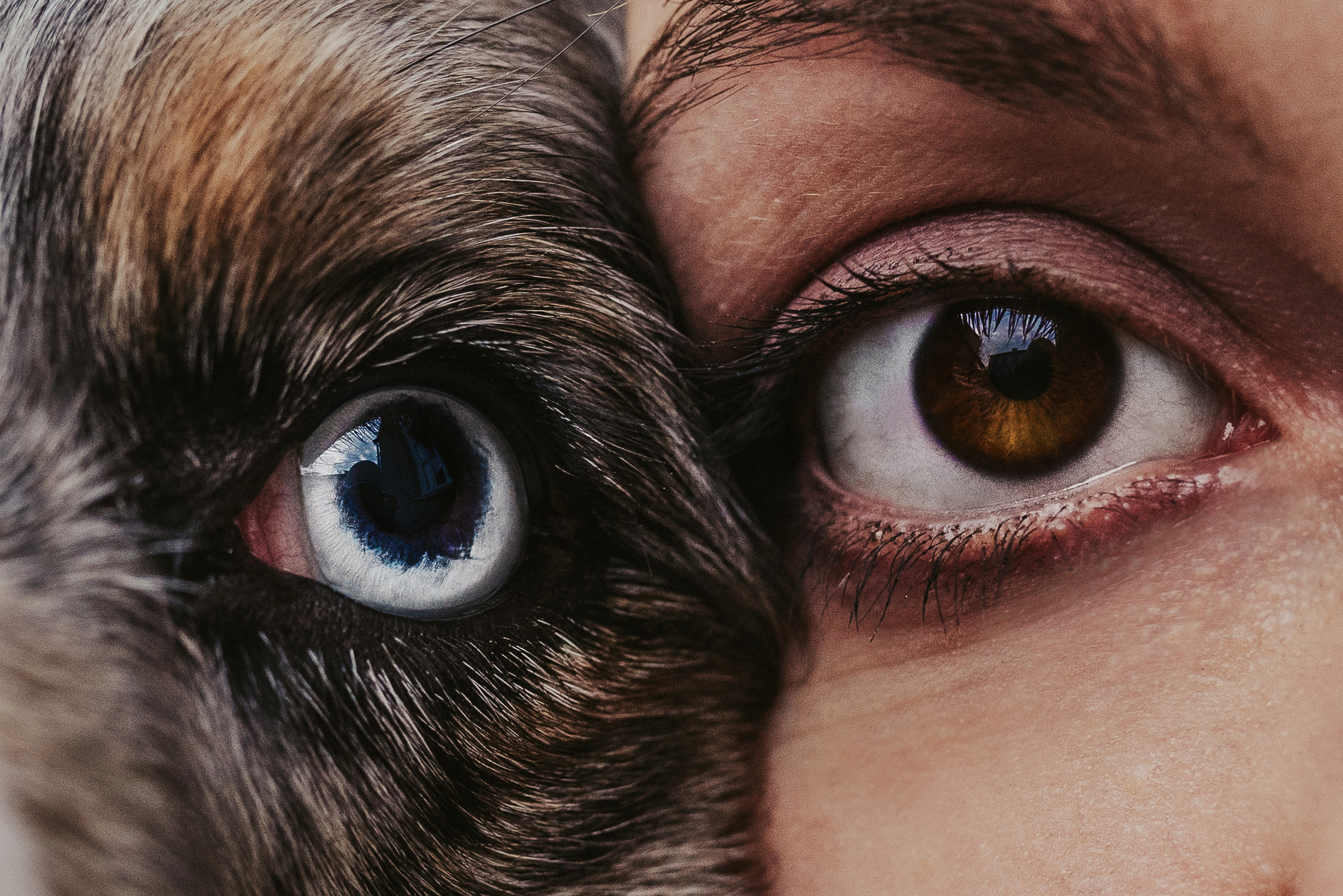 Лена и Принц, Китай- Город. Свадебный фотограф в Москве Анна Полушина