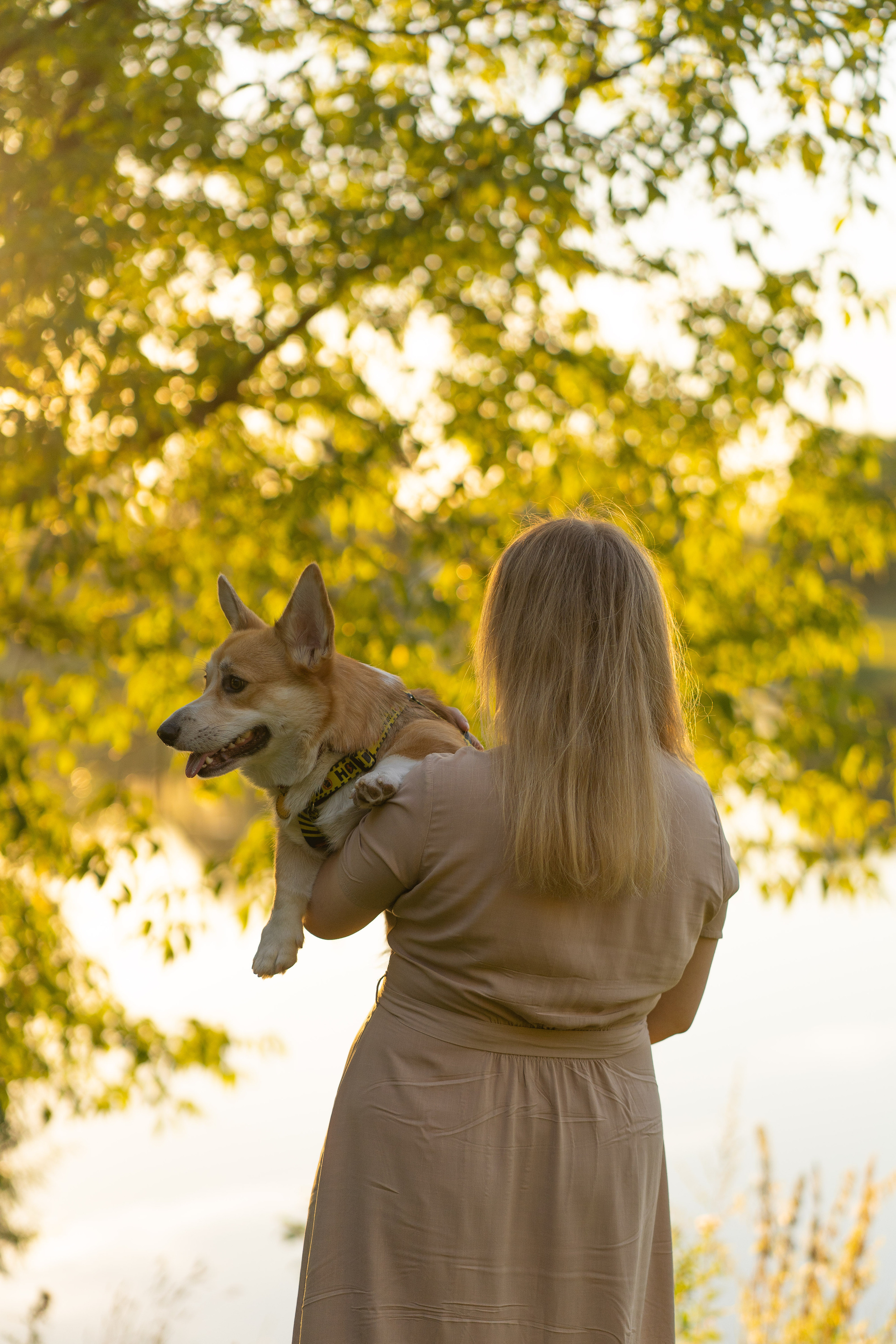 Катя и Боря, Джамгаровский парк. Свадебный фотограф в Москве Анна Полушина
