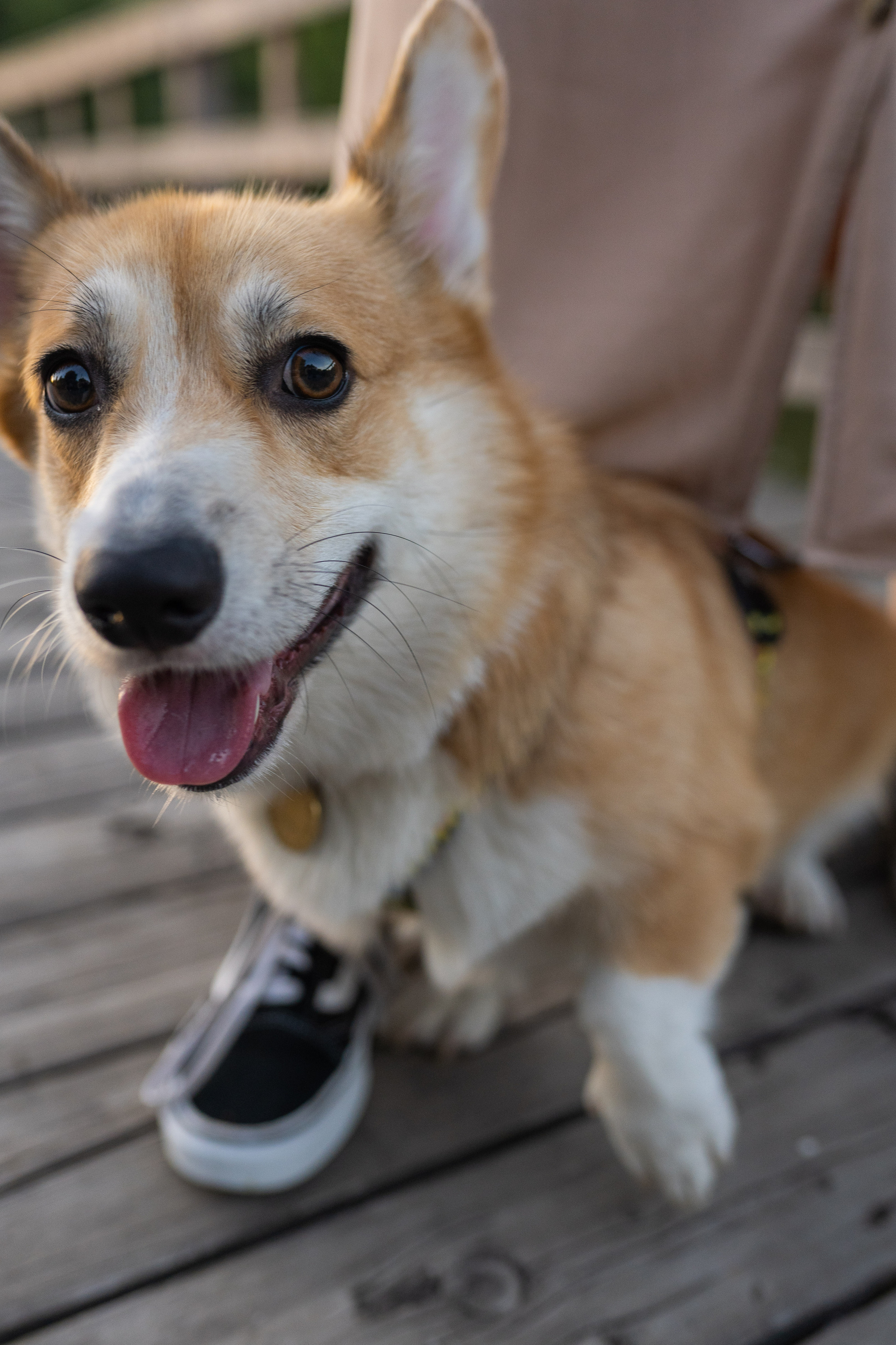 Катя и Боря, Джамгаровский парк. Свадебный фотограф в Москве Анна Полушина